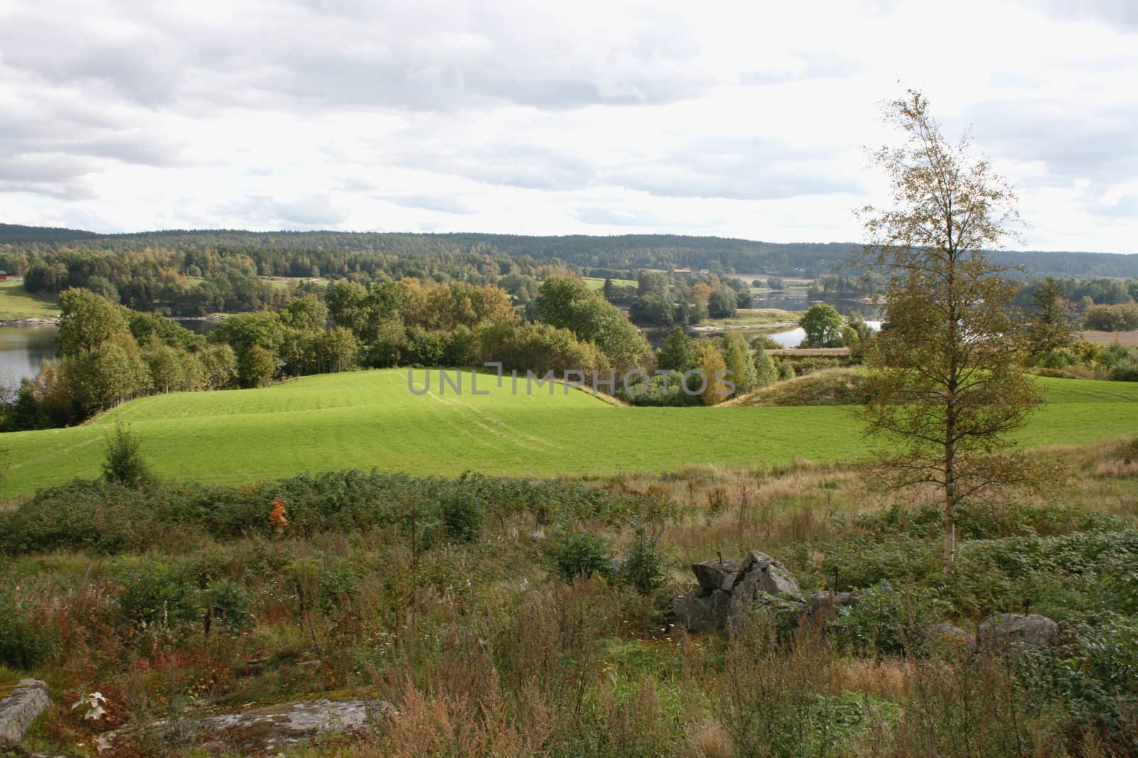 Scene from an old Norwegian farm with acres and a river