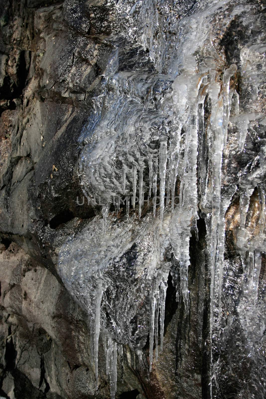 Closeup of icicles