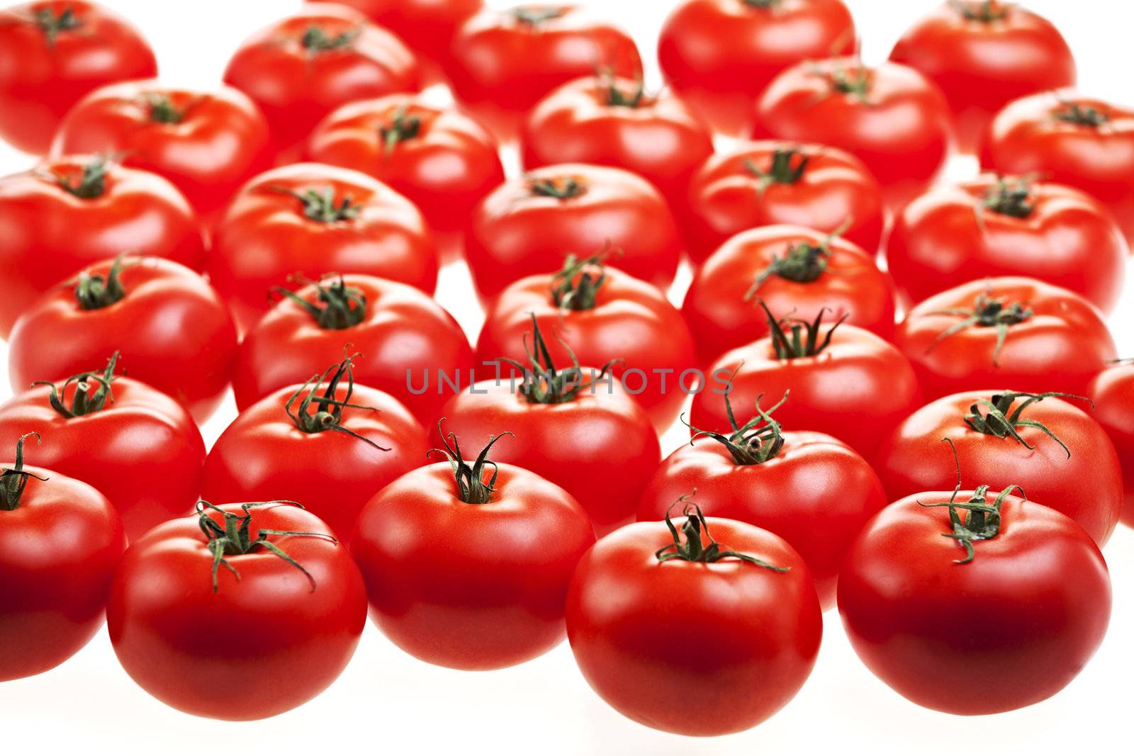 lots of tomatoes isolated on white by bernjuer