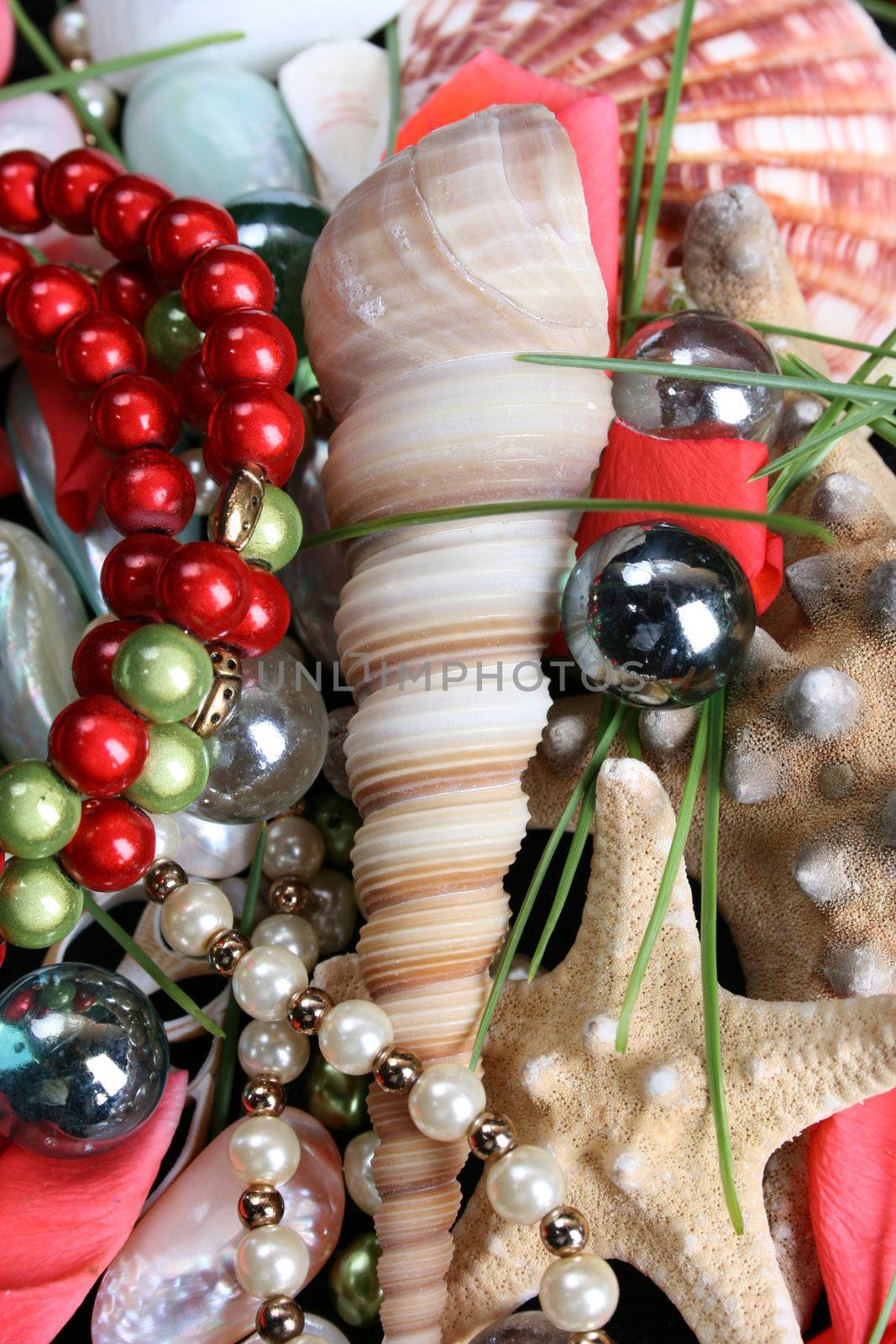 Variety of seashells and jewelery on red background
