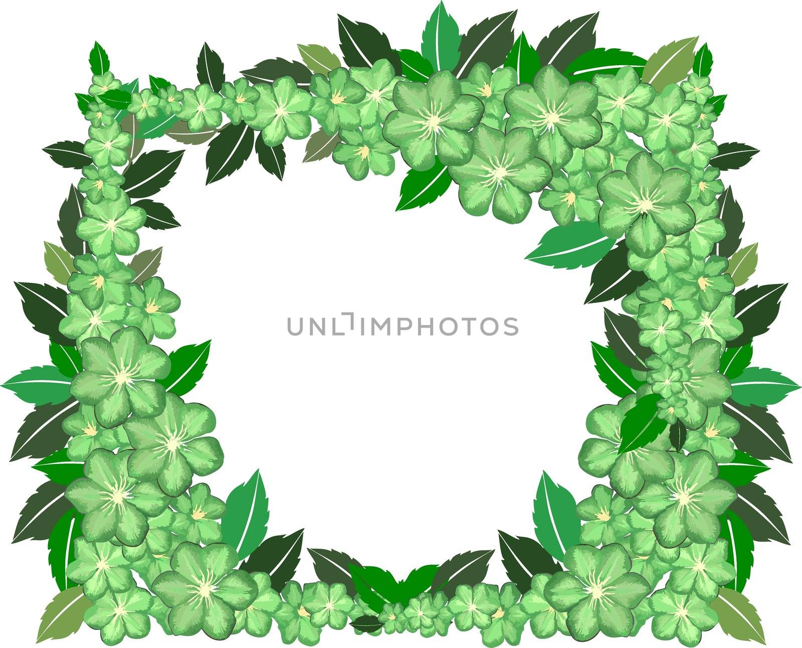 green flower frame on white by peromarketing