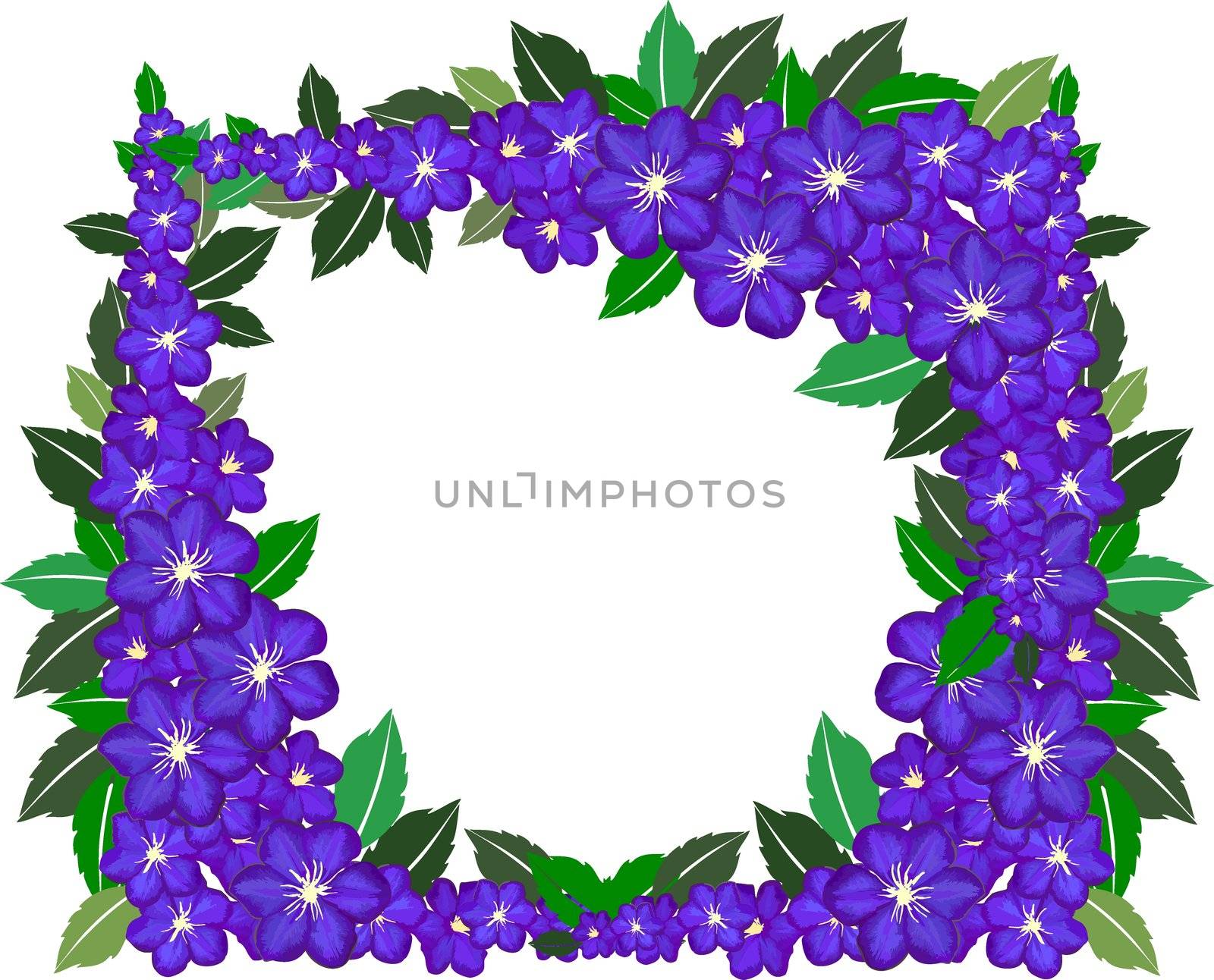 violet flower frame by peromarketing