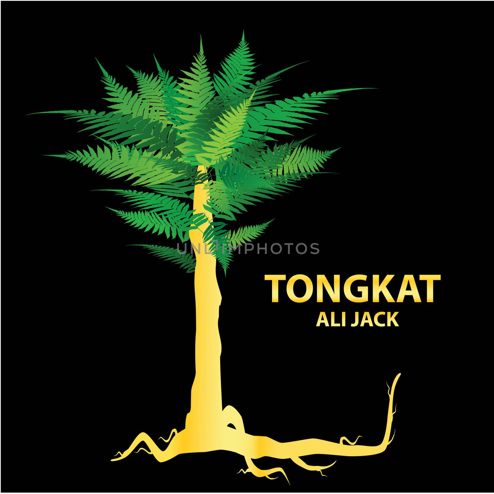 Tongkat Ali - nature's sexual stimulant