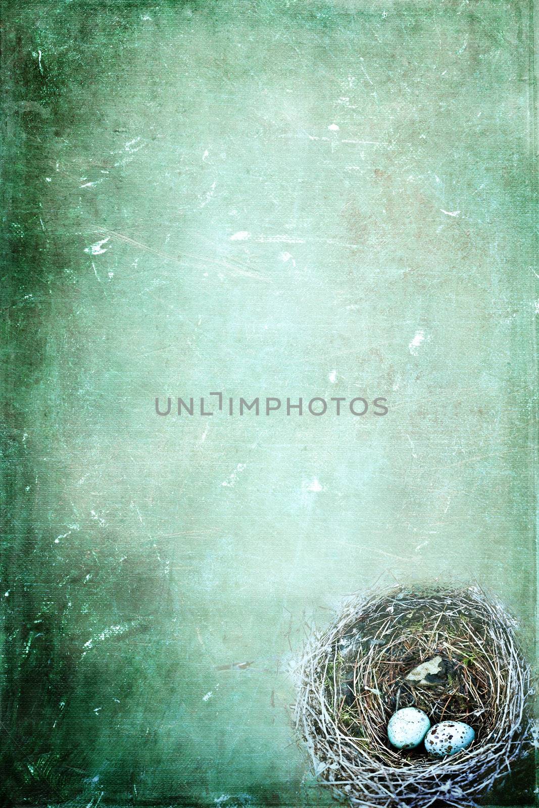 Bird's nest with eggs on a grunged background with copy space.