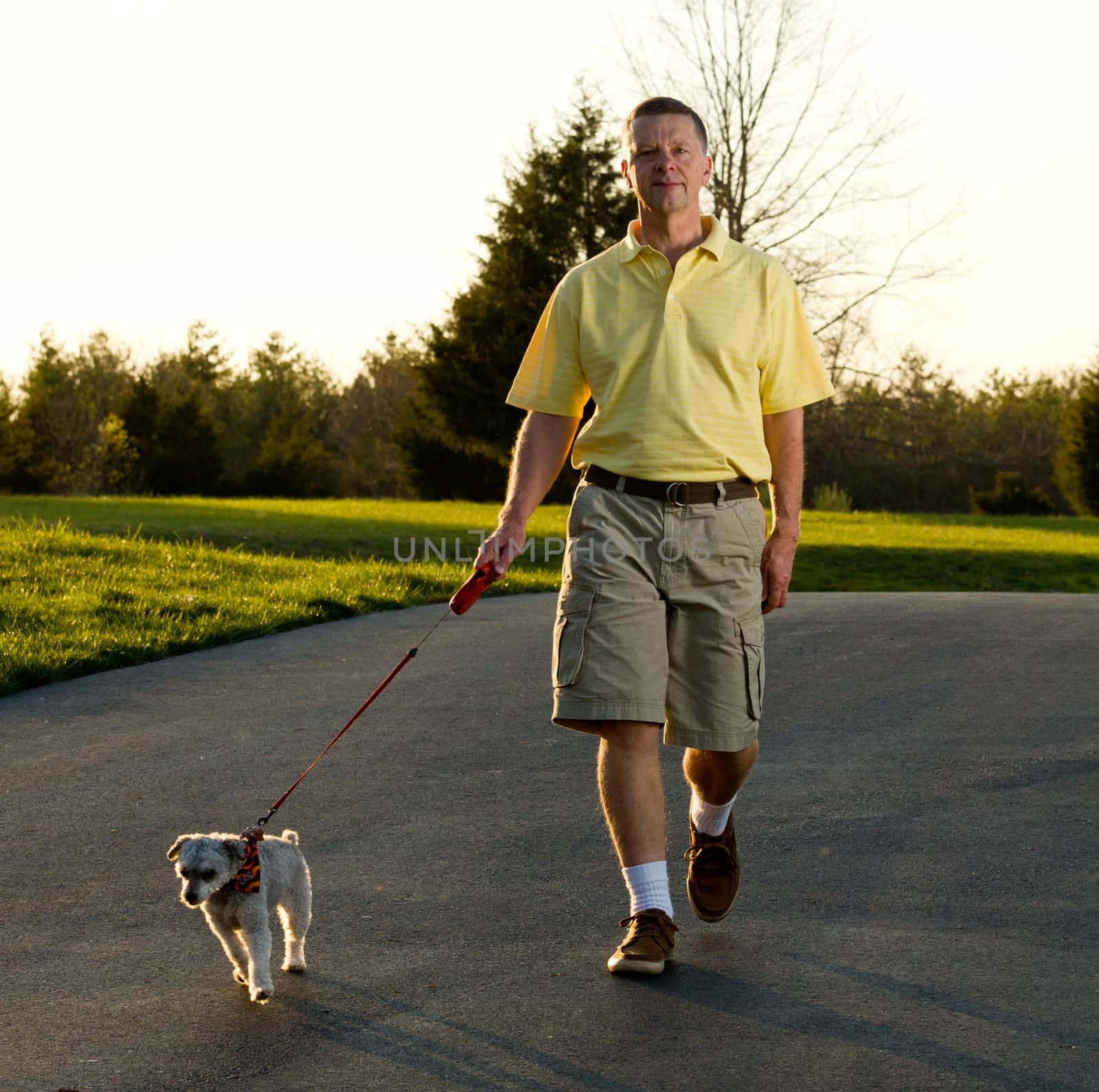 Sunset highlights the edges of a small dog as active retired man returns from a walk