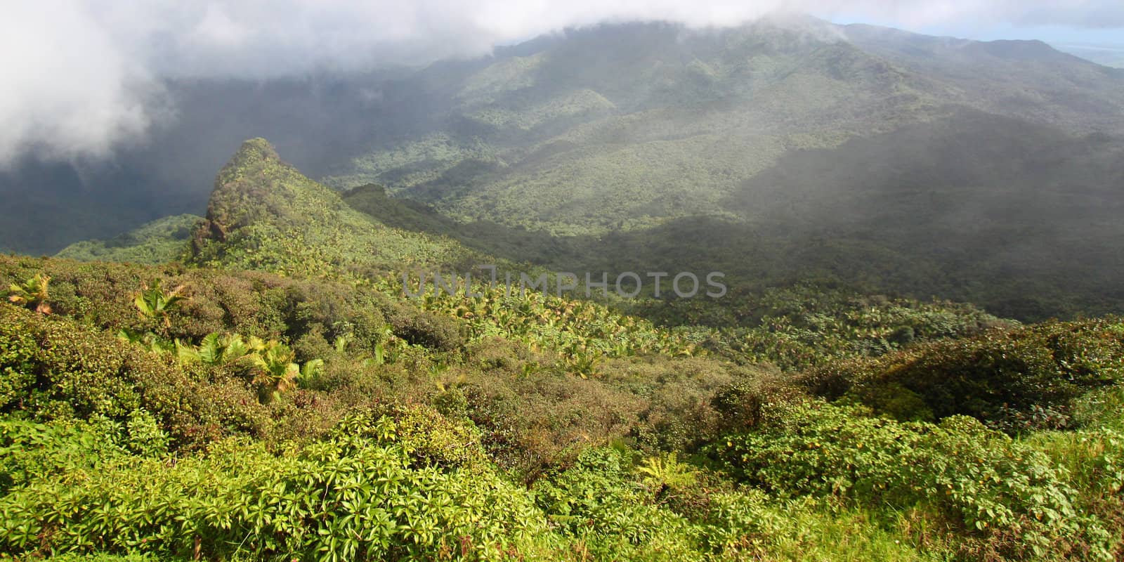 Misty clouds sweep over the rainforest in the mountains of El Yunque National Forest - Puerto Rico.