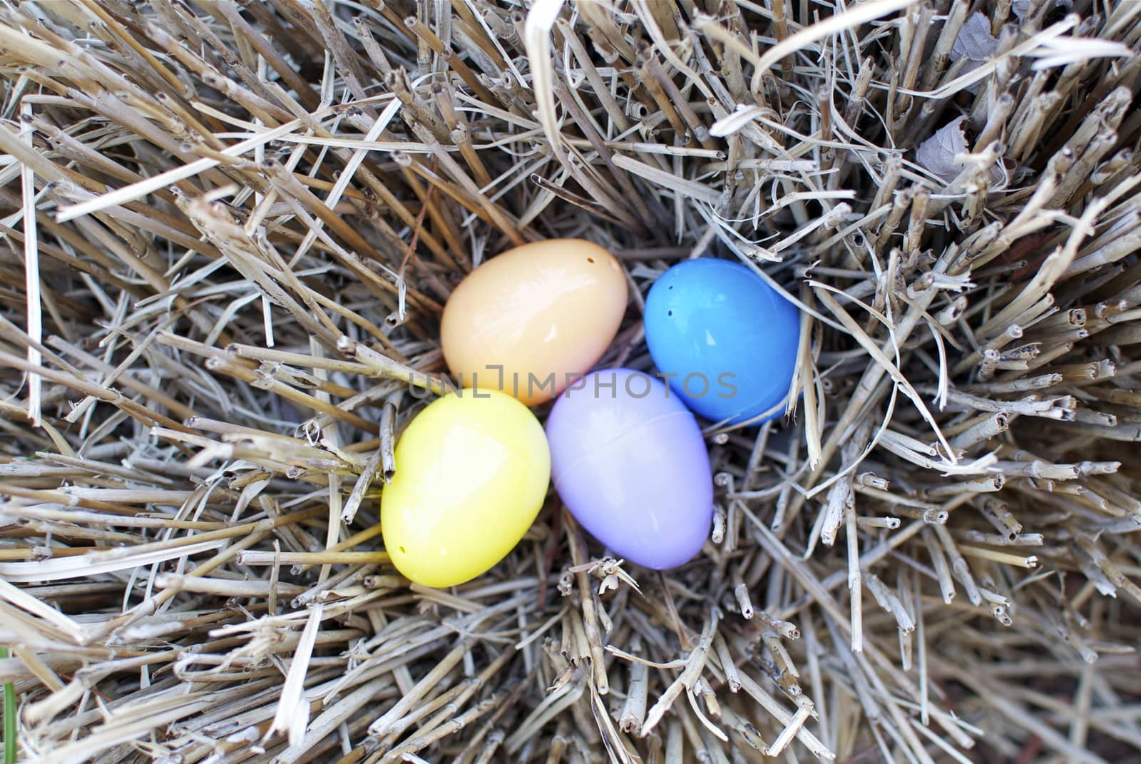 Easter eggs in a nest make a wonderful decoration image.