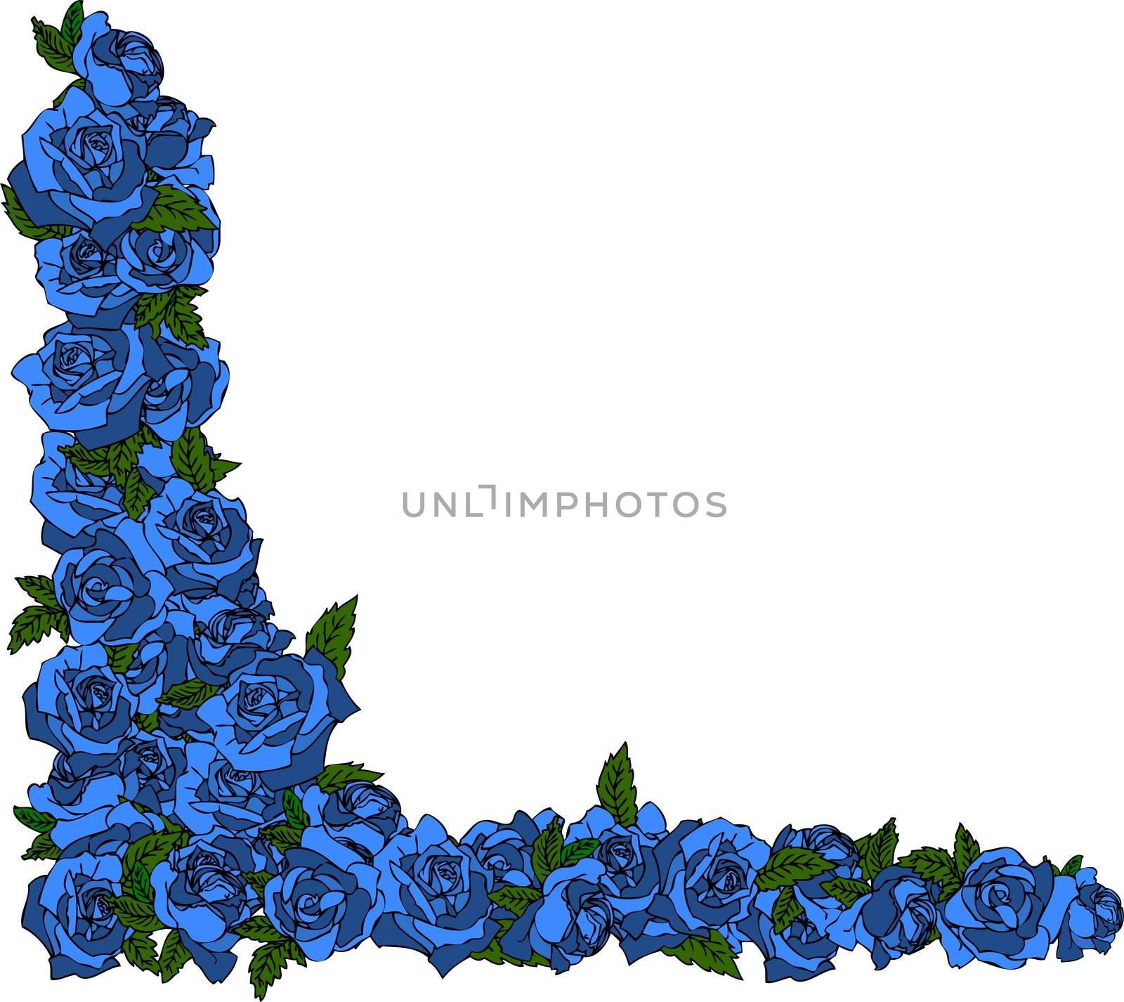 blue rose frame by peromarketing