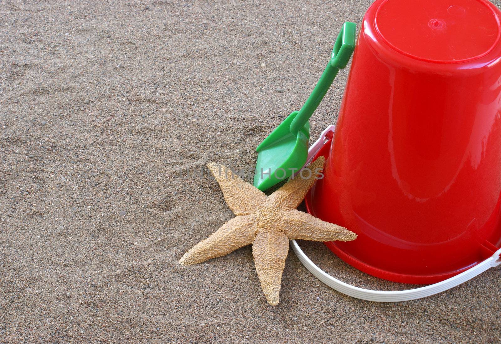 A shovel, bucket and starfish in the sand.