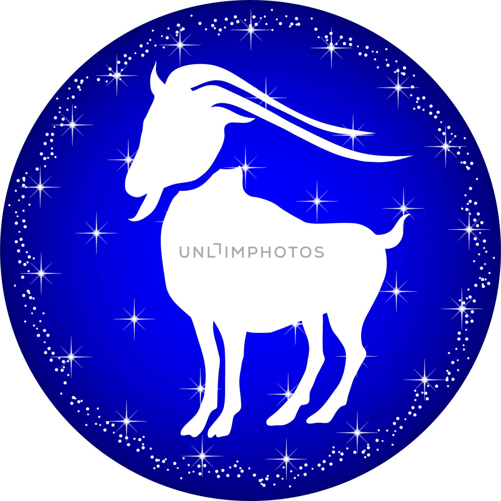 zodiac button capricorn by peromarketing