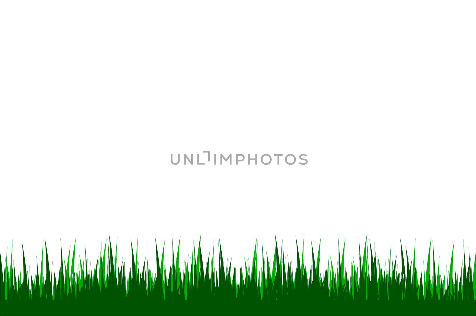 illustration of a grass background