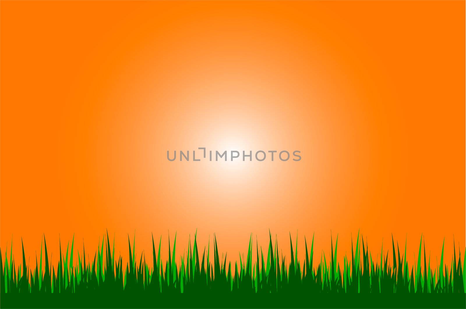 illustration of a grass background