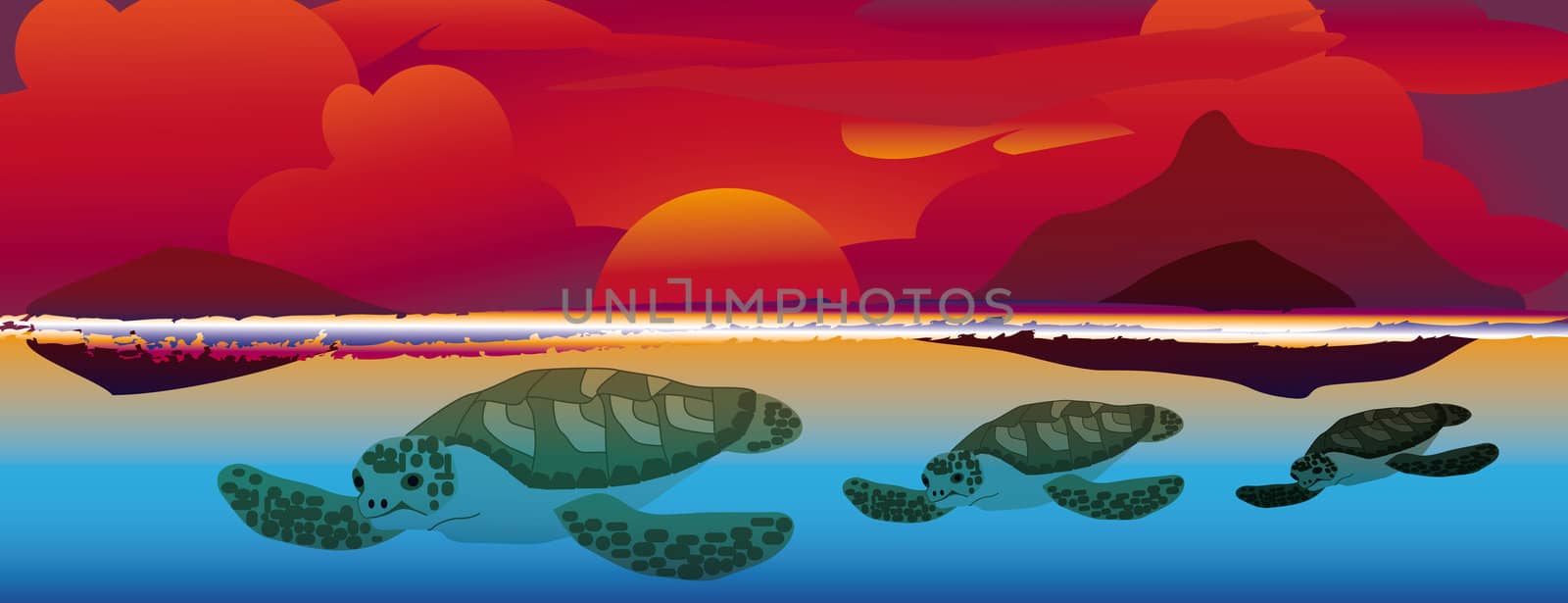 three sea turtles swimming at a colorful sunset