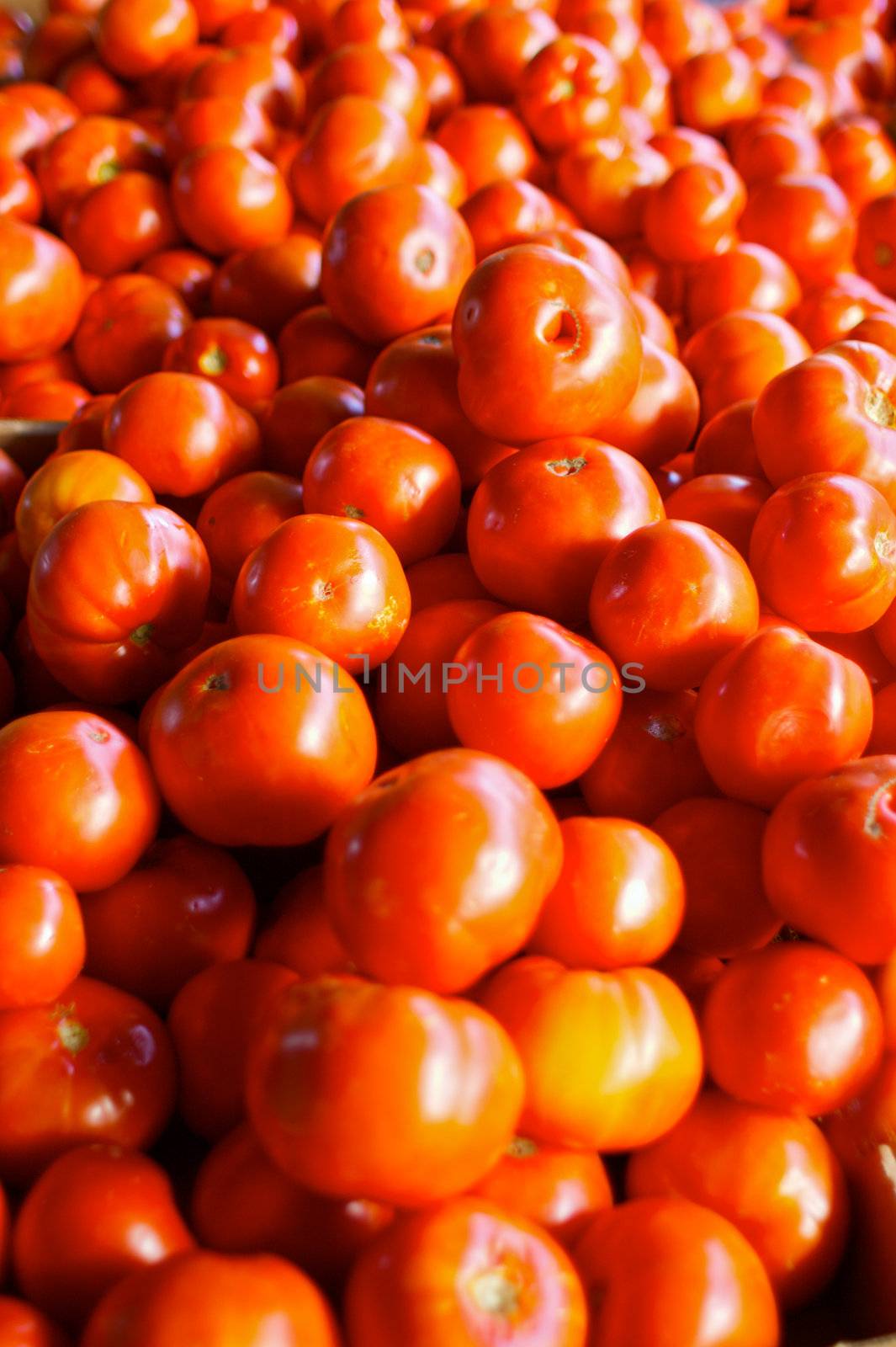 a sea of red tomatoes at the Farmer's market