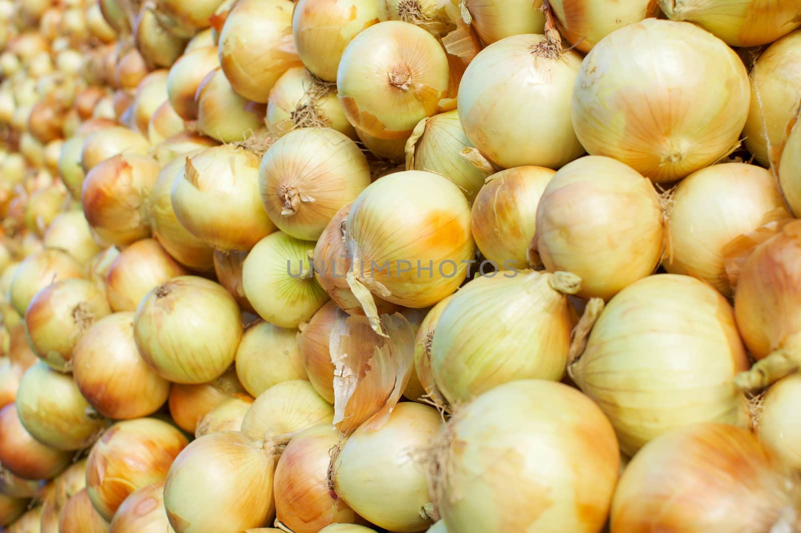 a sea of yellow onions at the Farmer's market