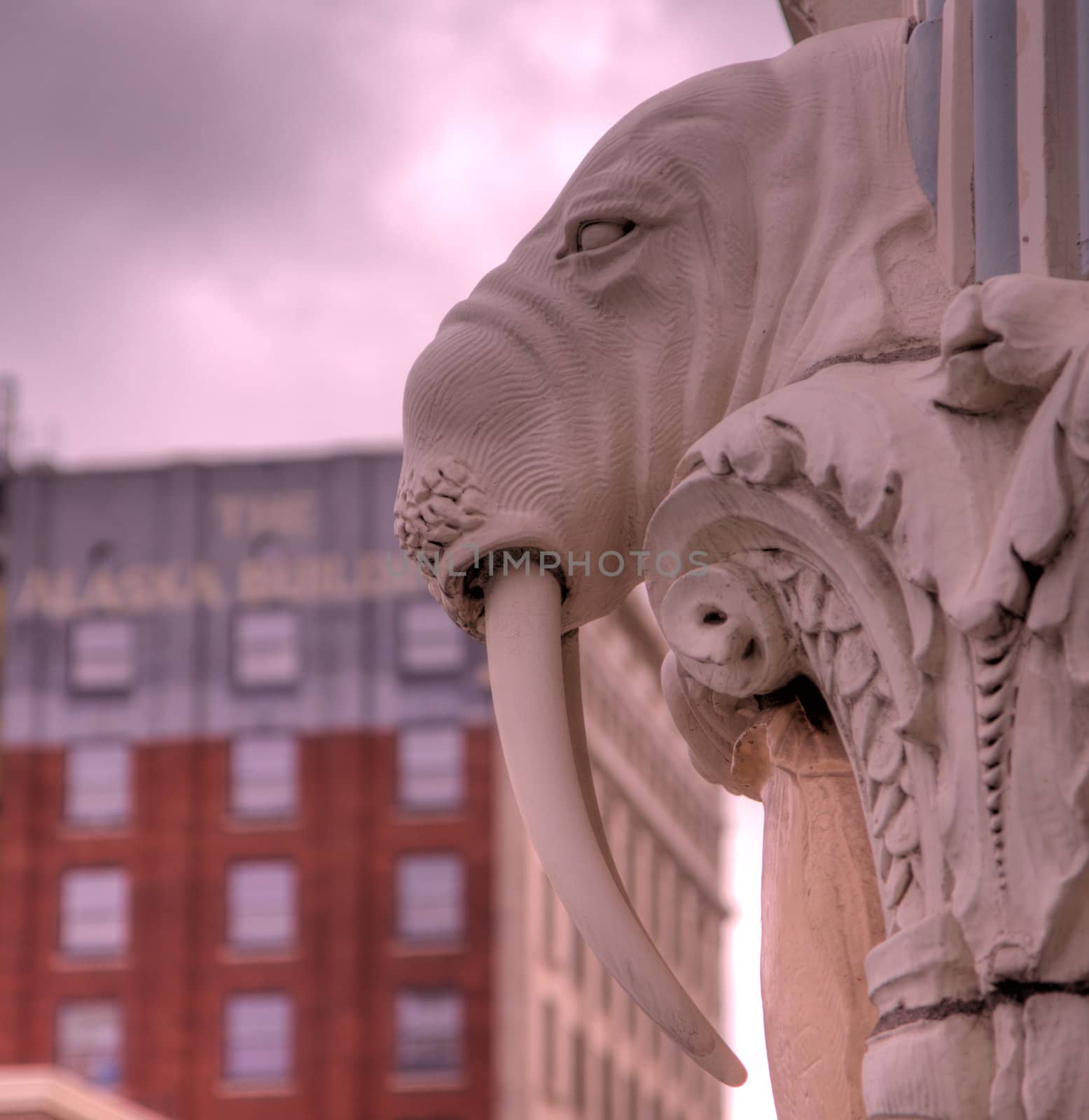 Walrus gargoyle in soft focus urban background