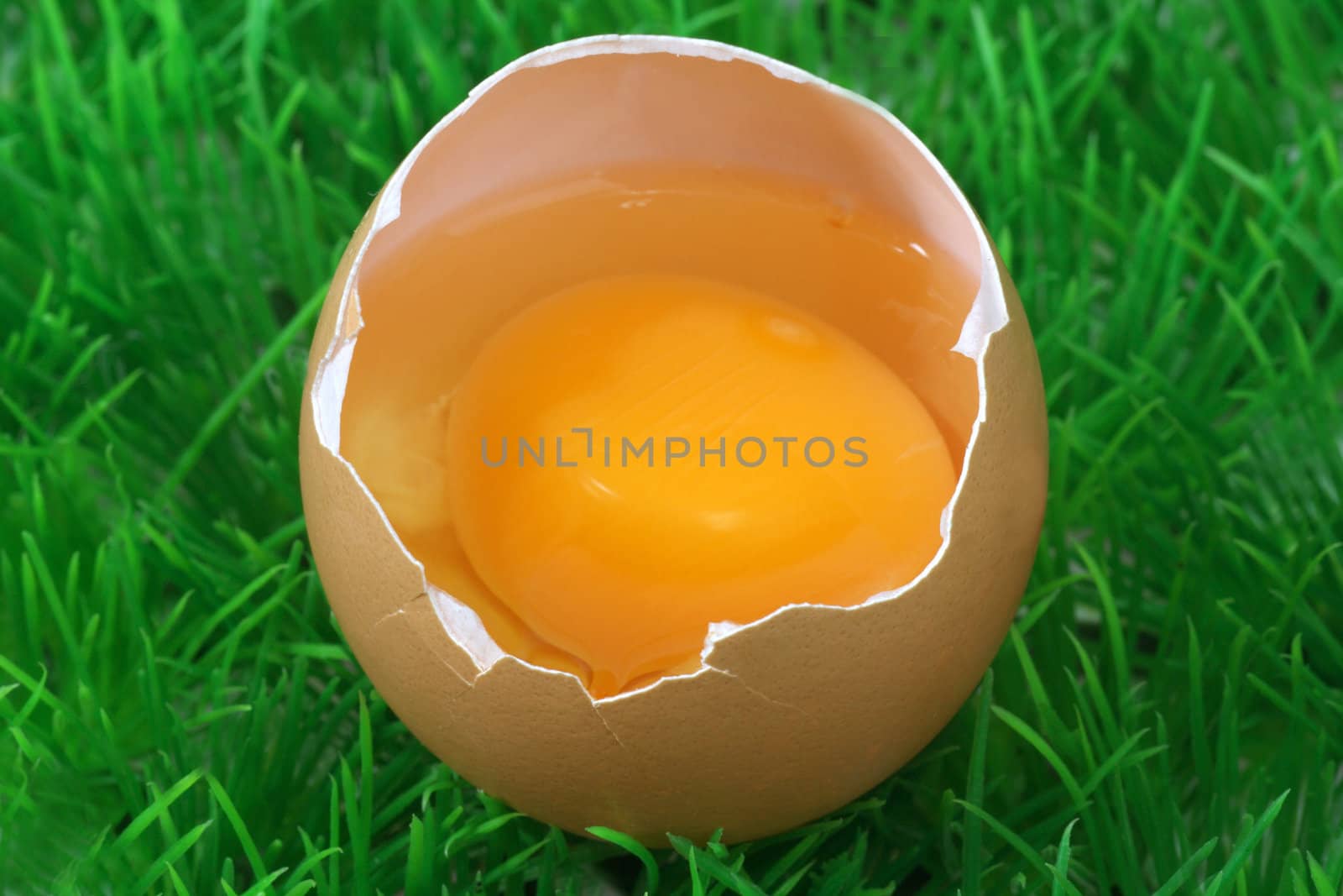 Brown eggs on a decorative grass meadow