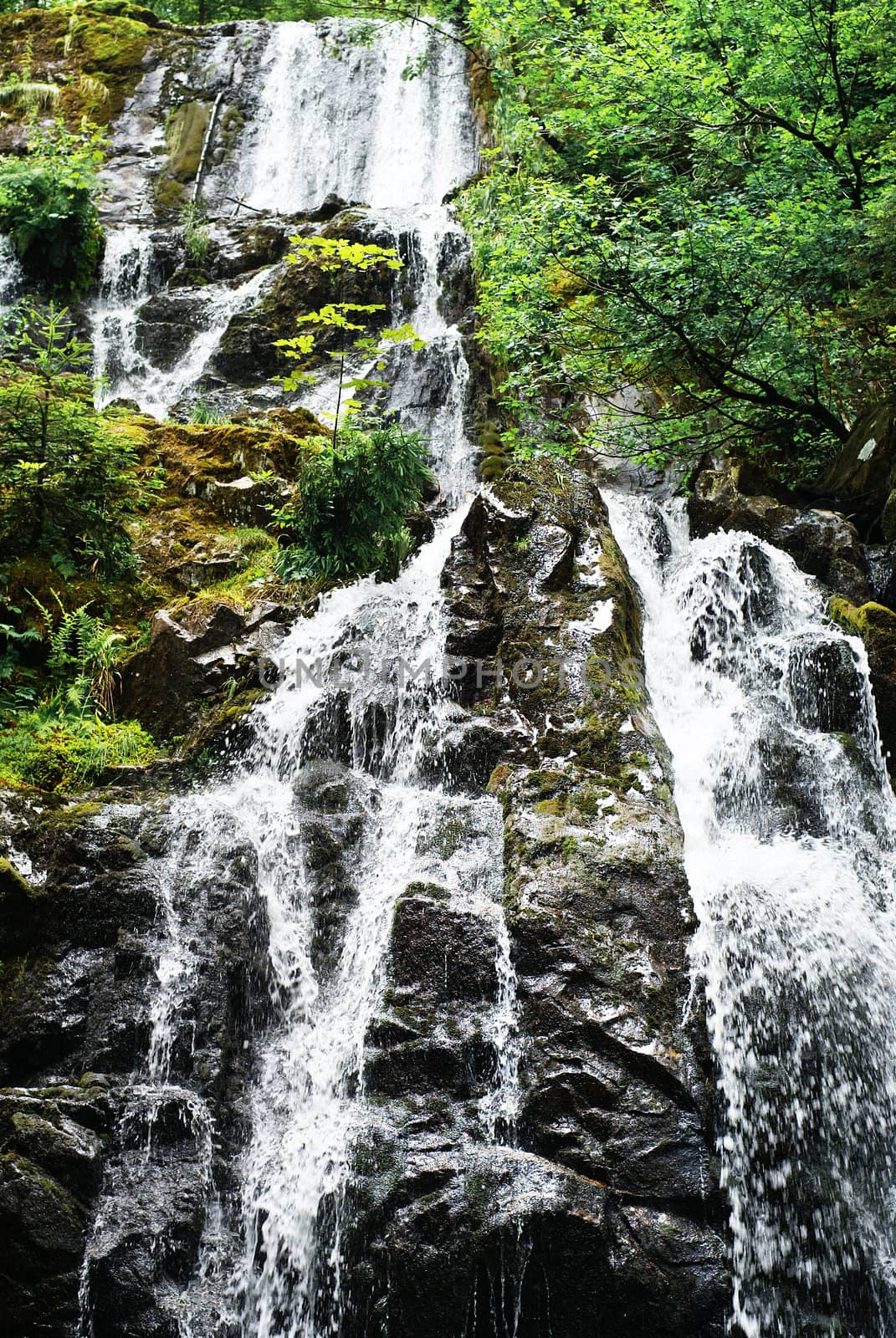 Natural waterfall. by SasPartout