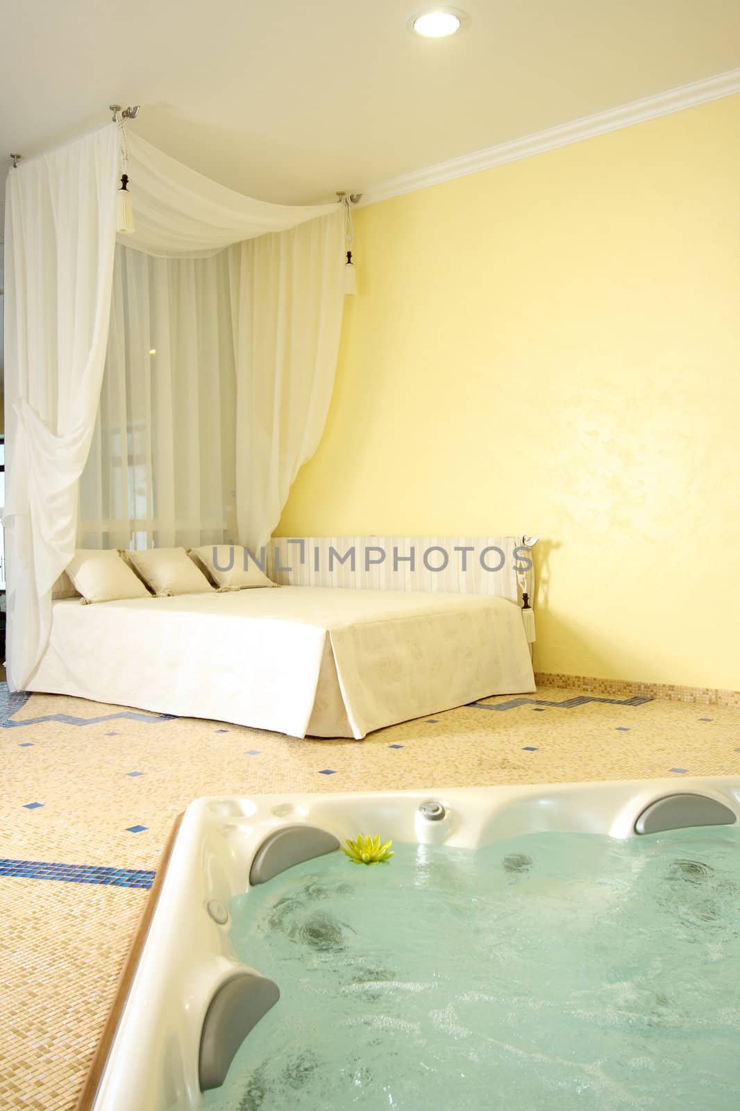 Beautiful modern bathroom with a jacuzzi and a bed