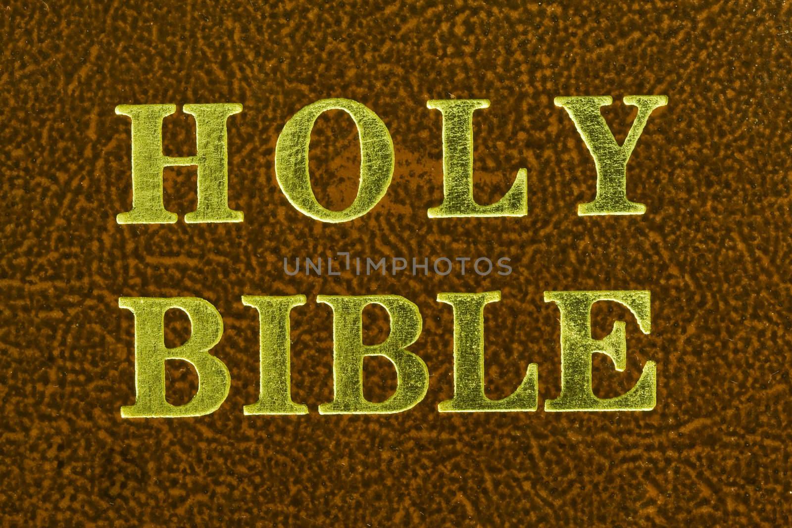 holy bible by snokid
