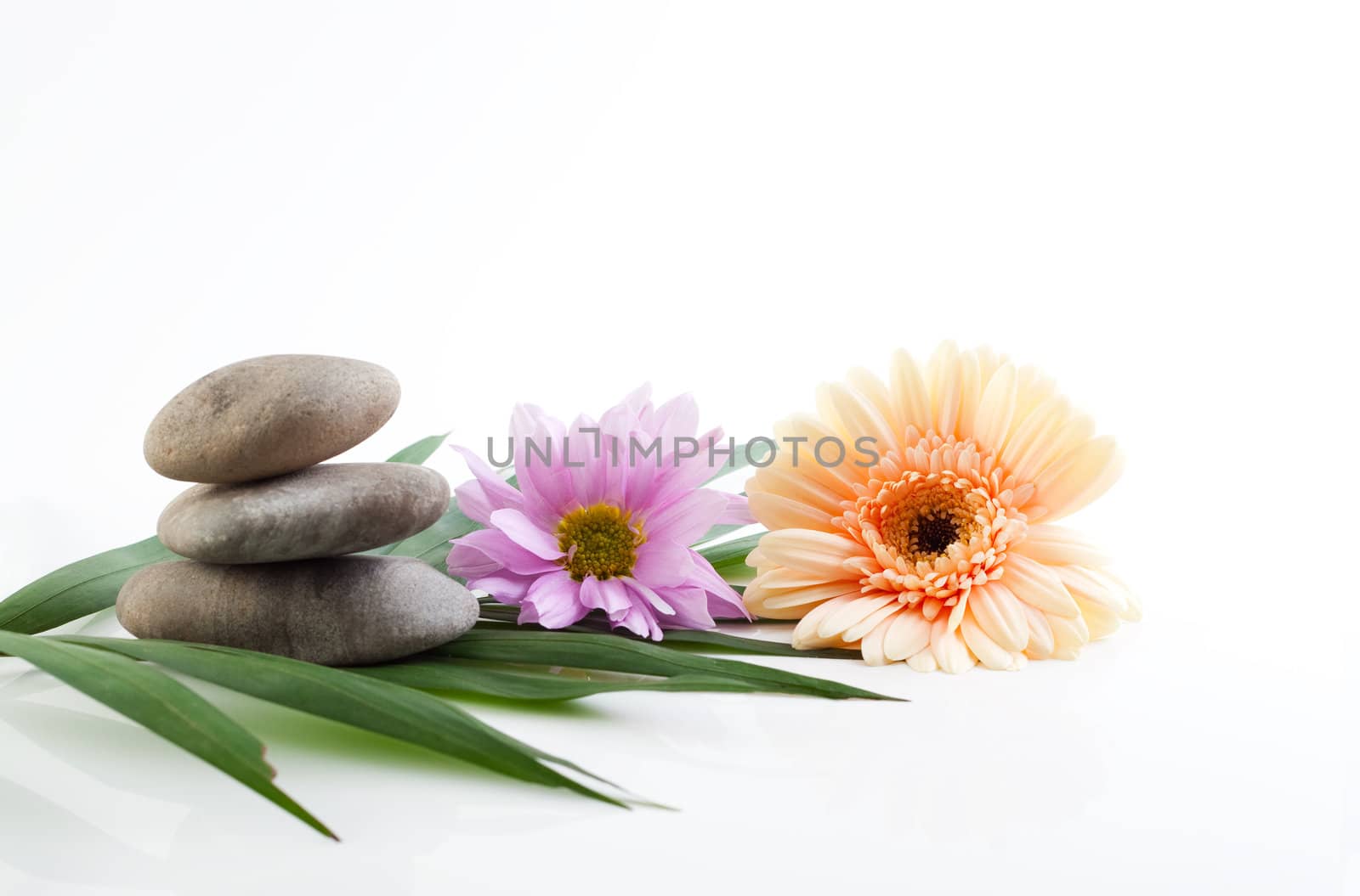 Flowers and stones - spa theme by azschach
