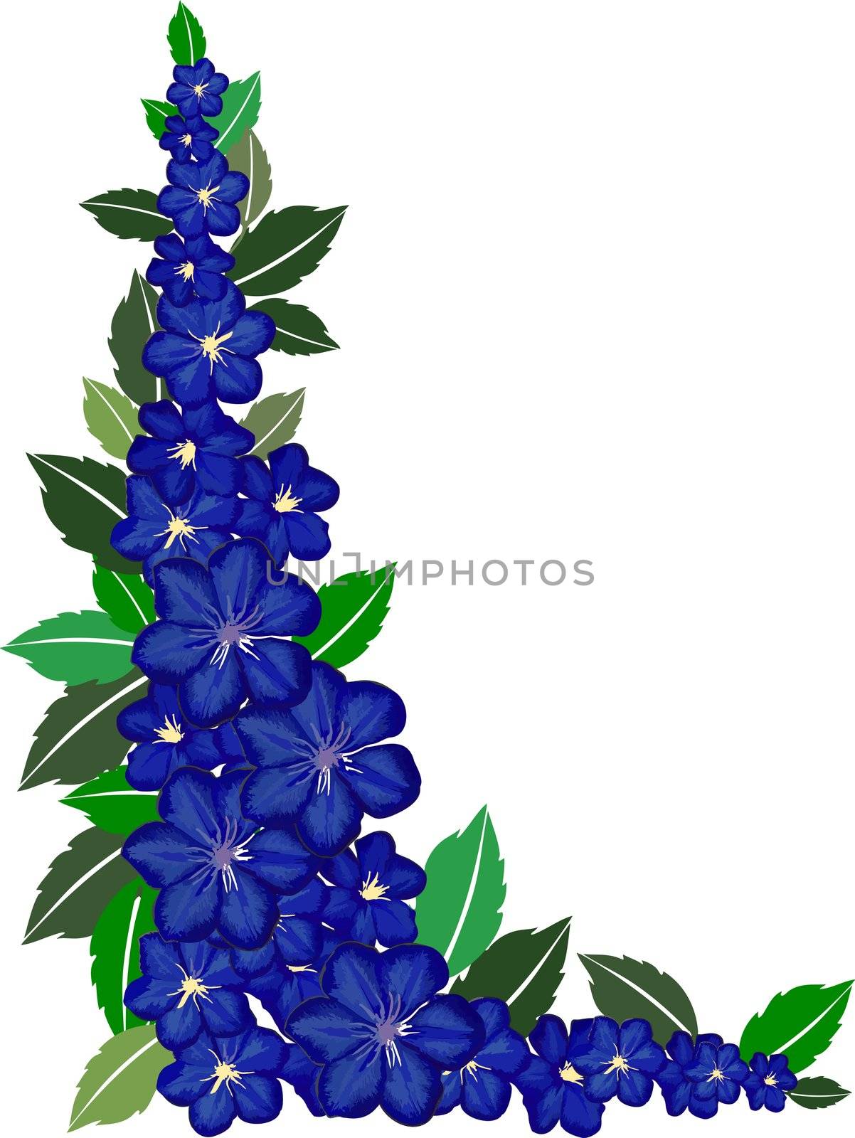 dark blue flower frame on white by peromarketing