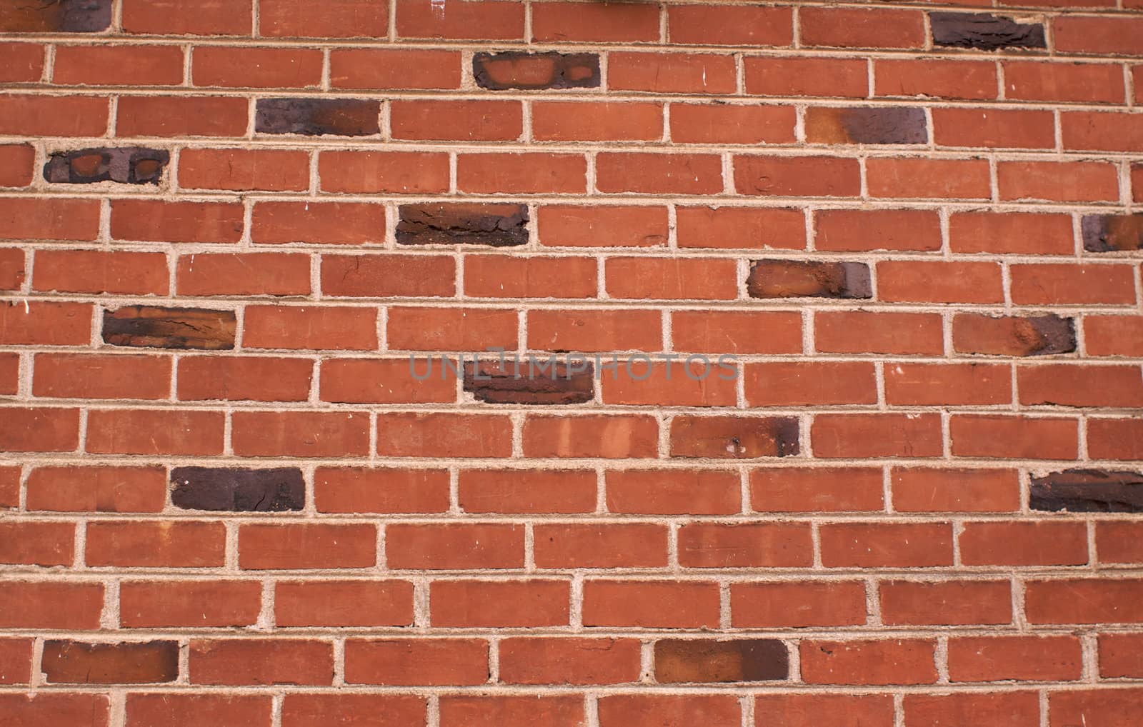 a red and dark brown brick wall on a 80 year old house with klinker bricks