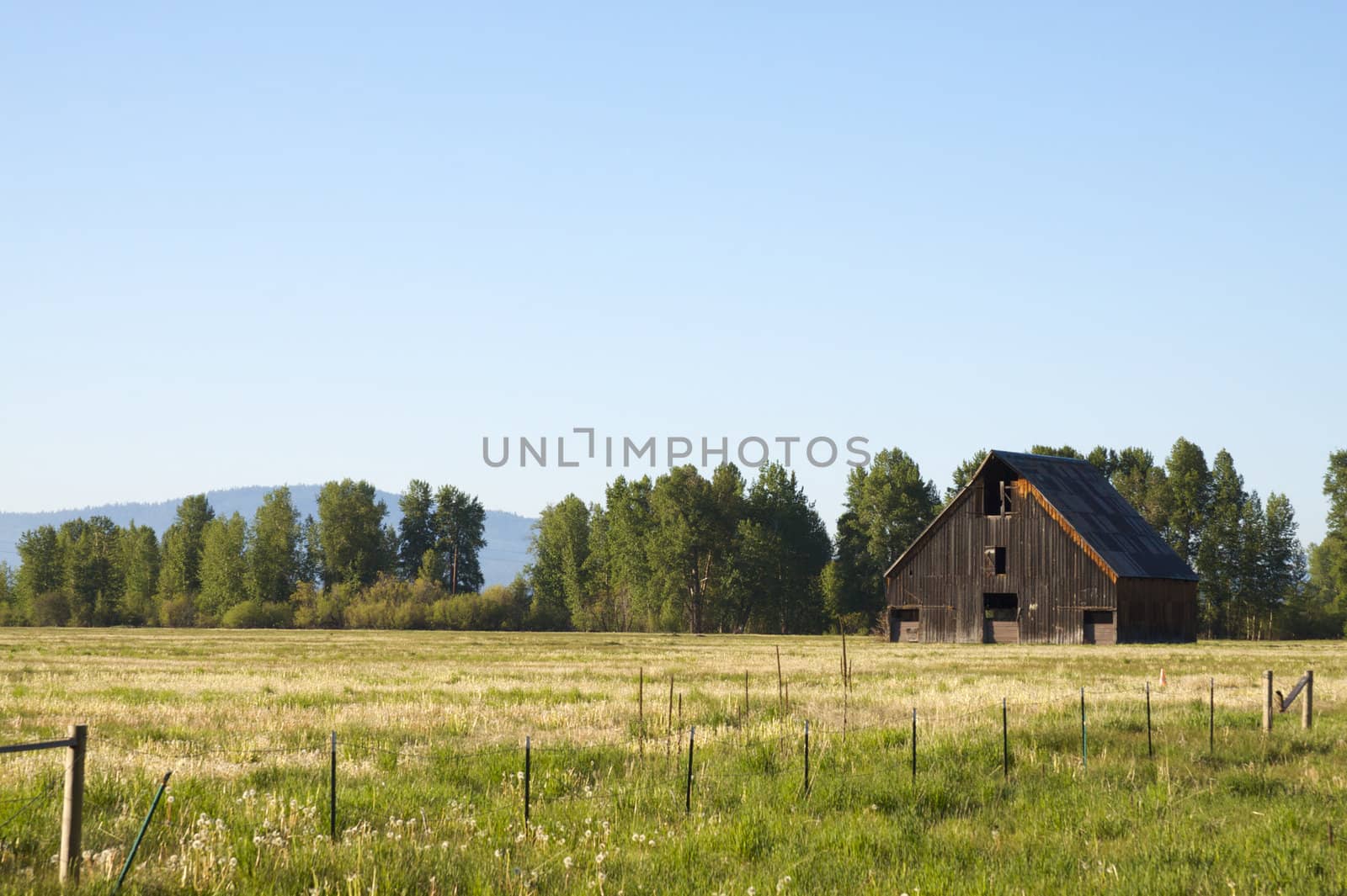 Country Barn in Field by bobkeenan