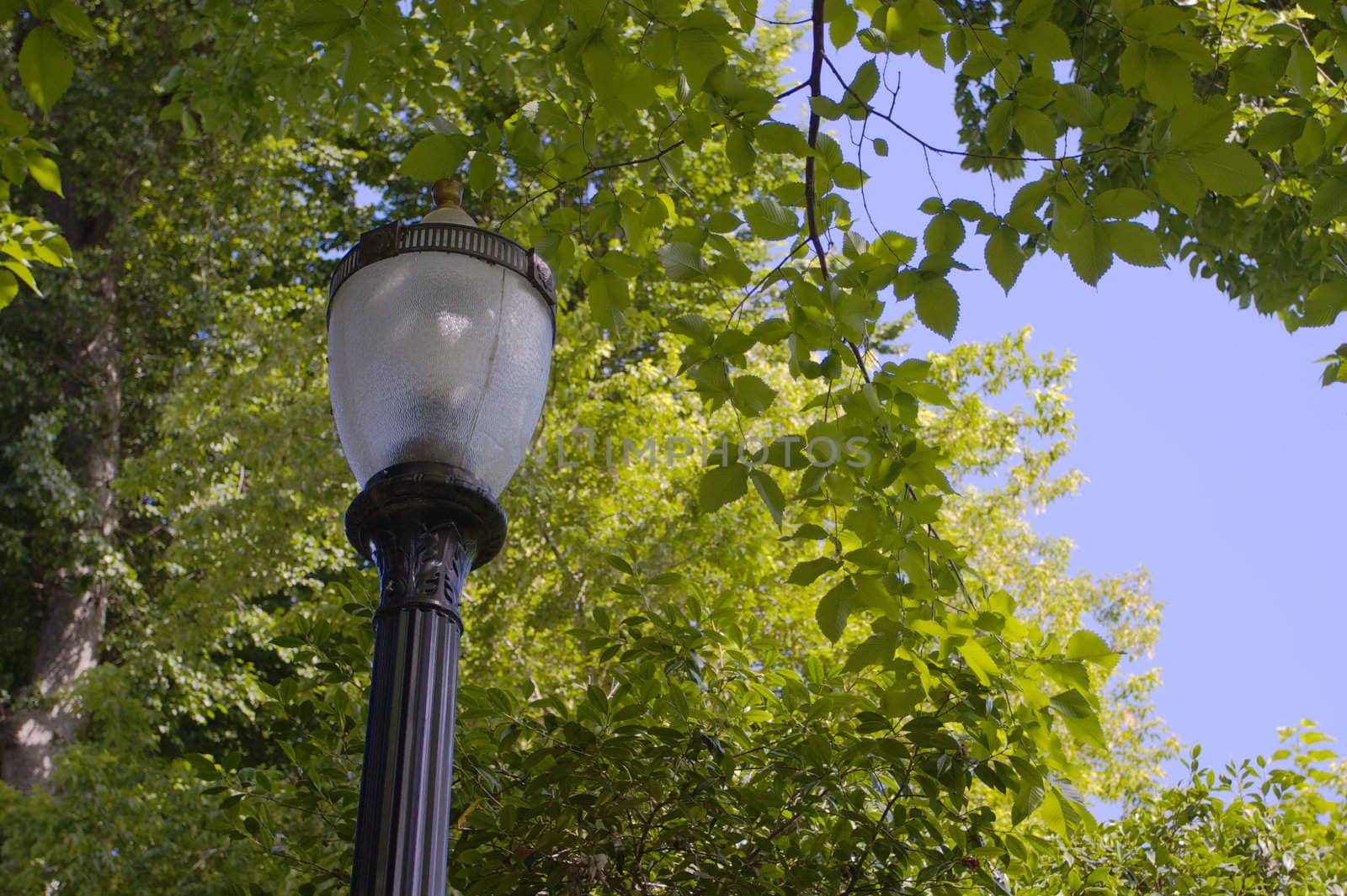 A single vintage lampost in California Capital Park with Trees in background
