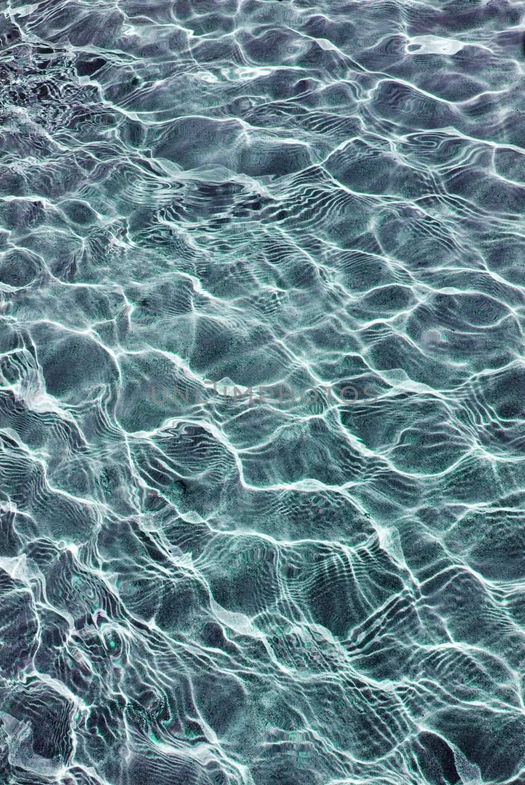 interference patterns formed by surface waves on a pool