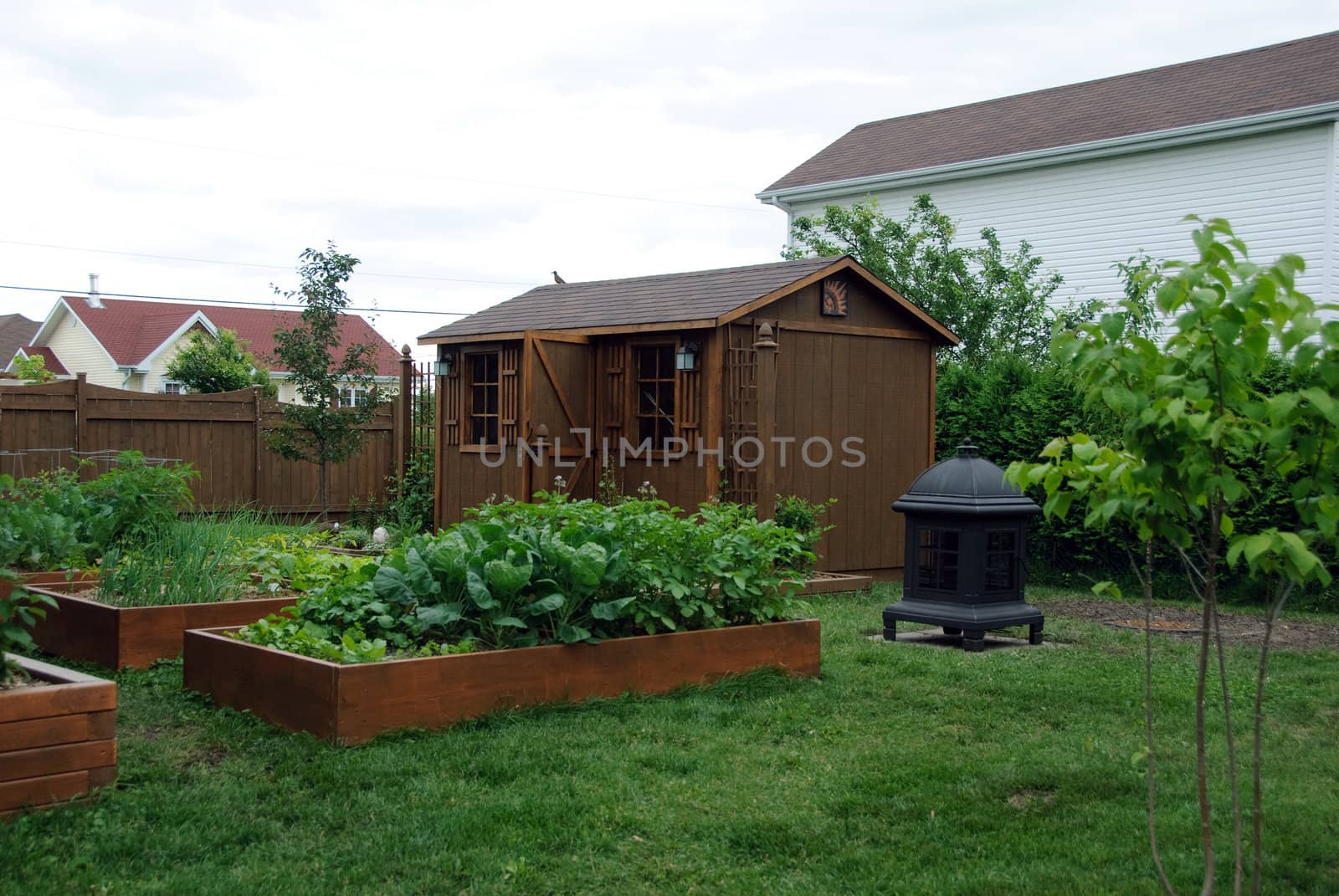 A Square foot gardening set-up in a typical back yard