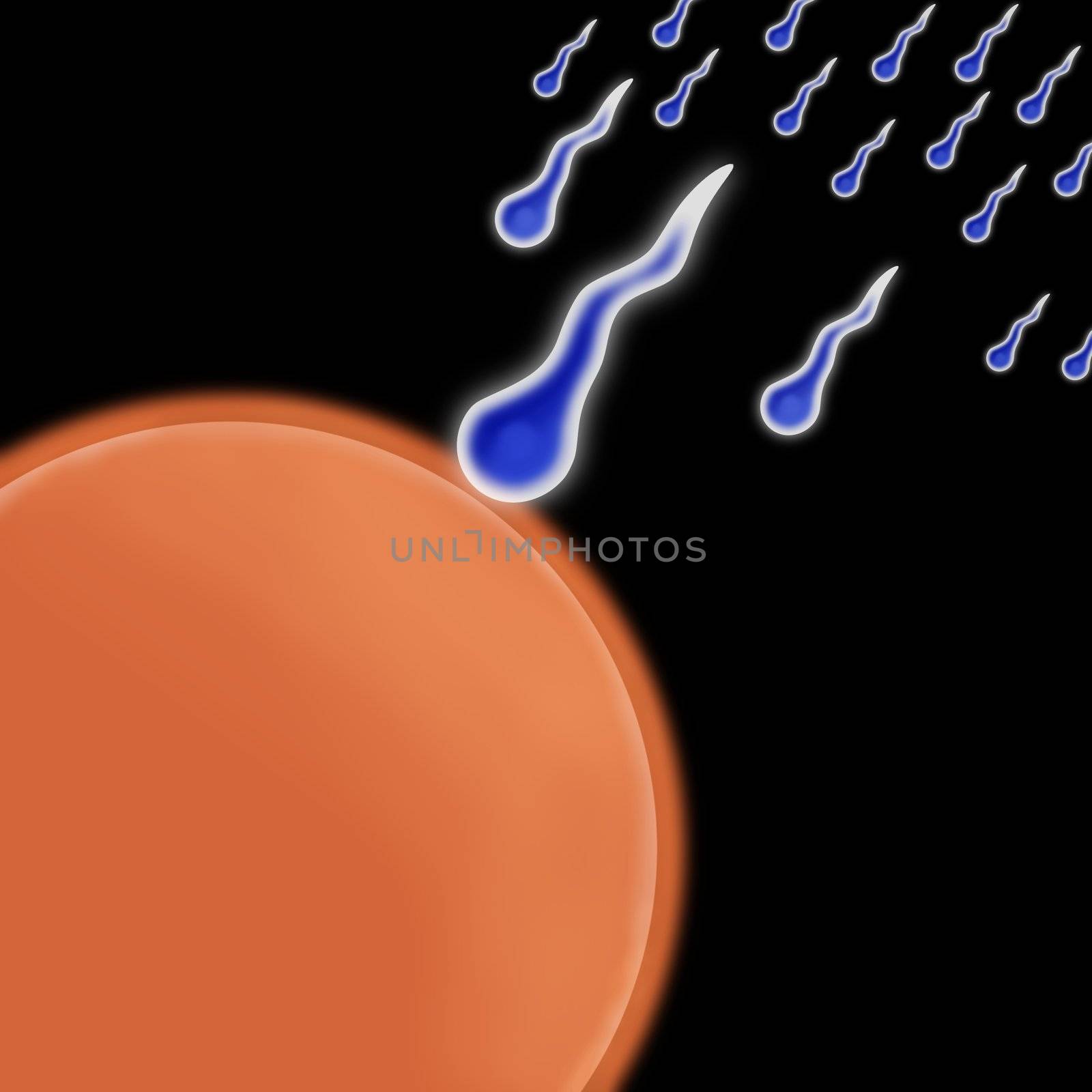 Blue sperm racing toward an orange egg on black background.
