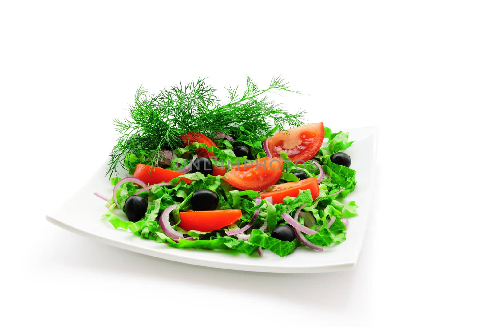 Vegetable salad by Apolonia