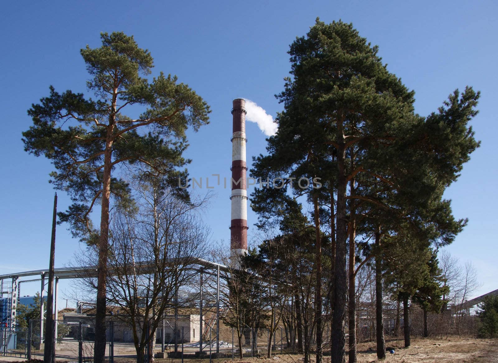 Pipe and trees by andrei_kolyvanov