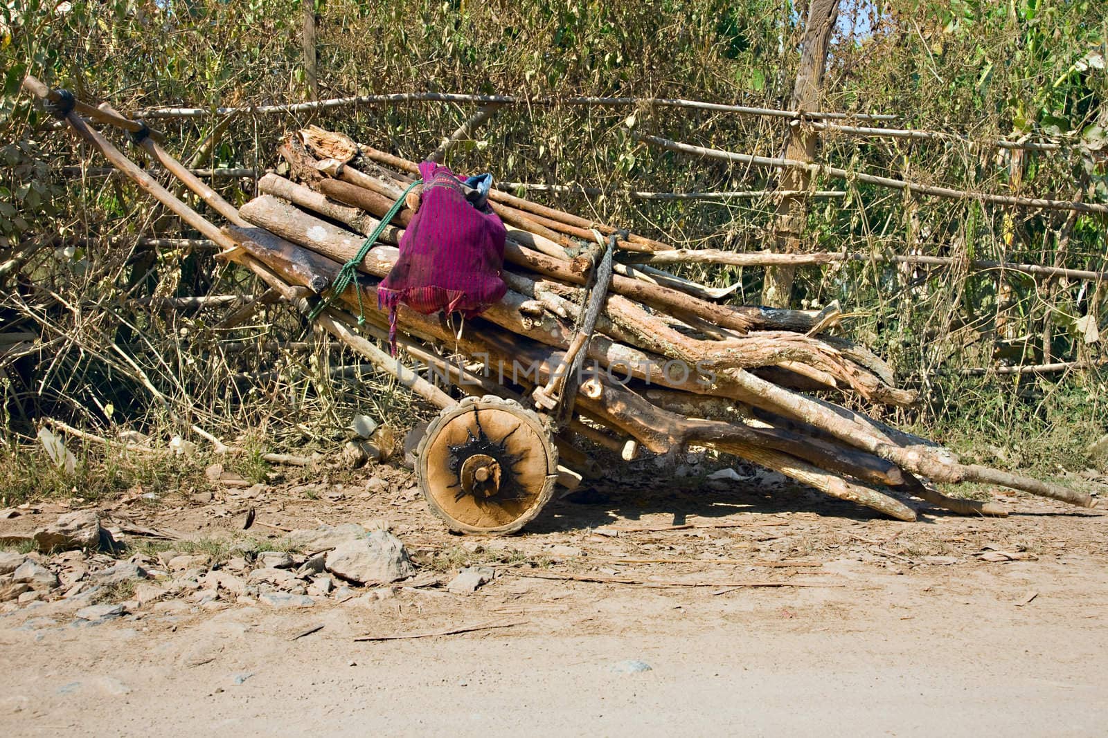 wooden truck by foryouinf