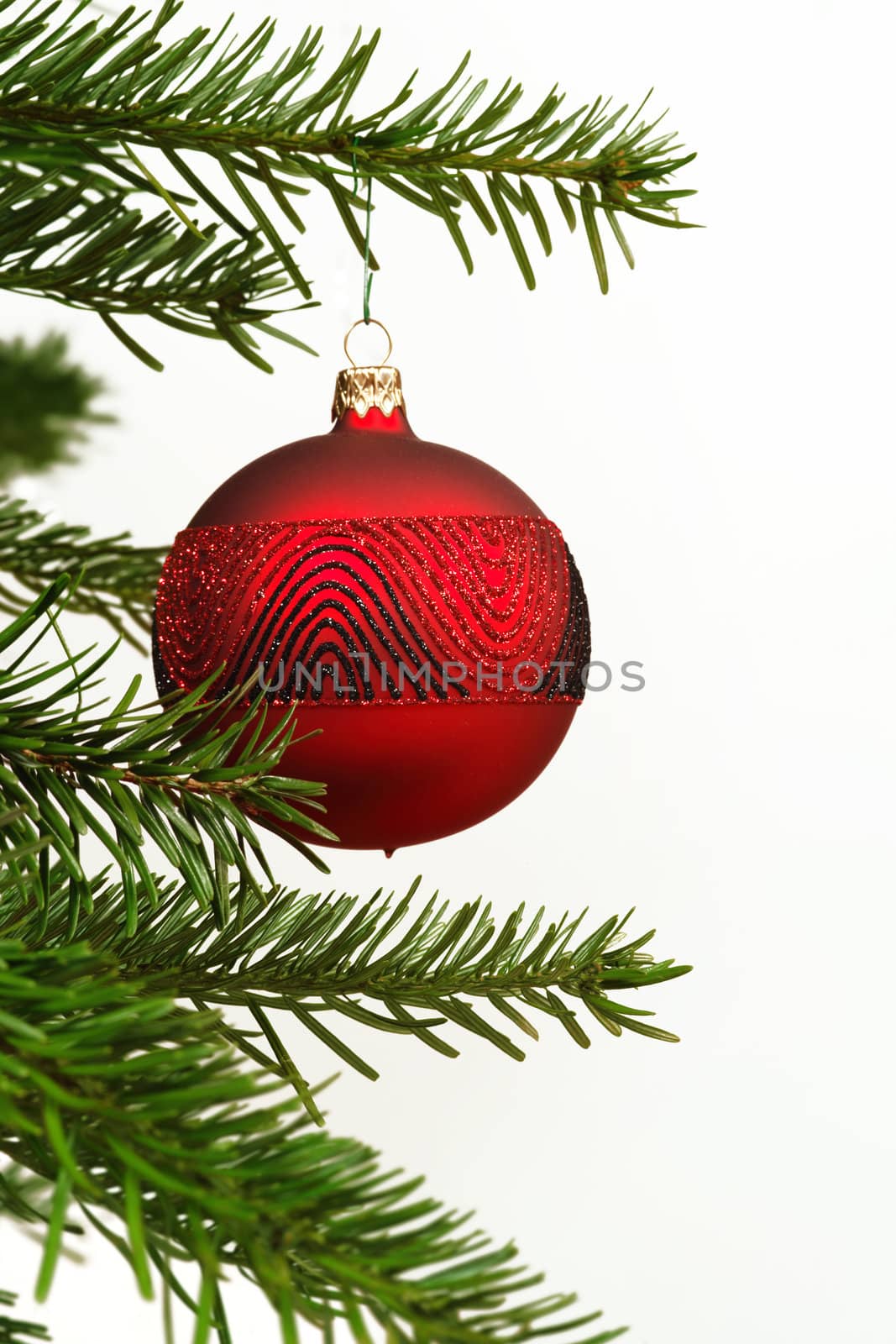 A single red Christmas ball hanging off a tree.

