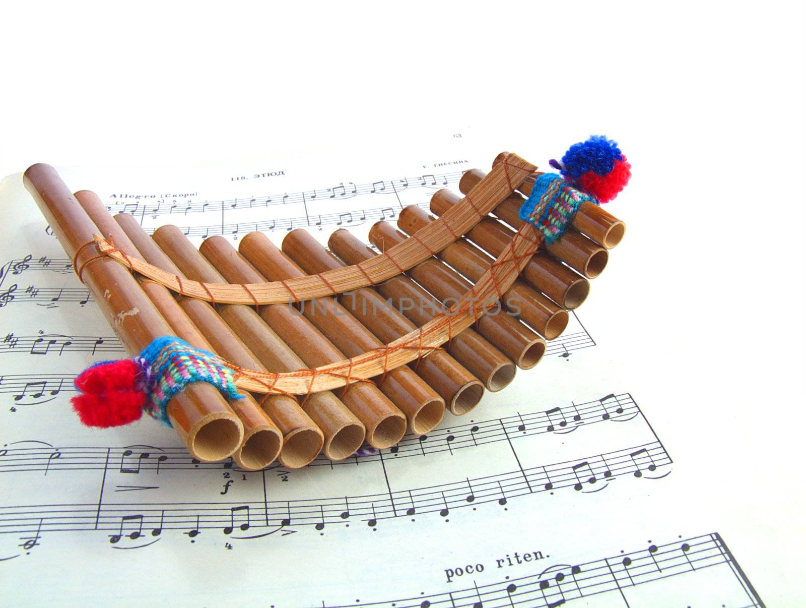 National musical instrument of South America aboriginal