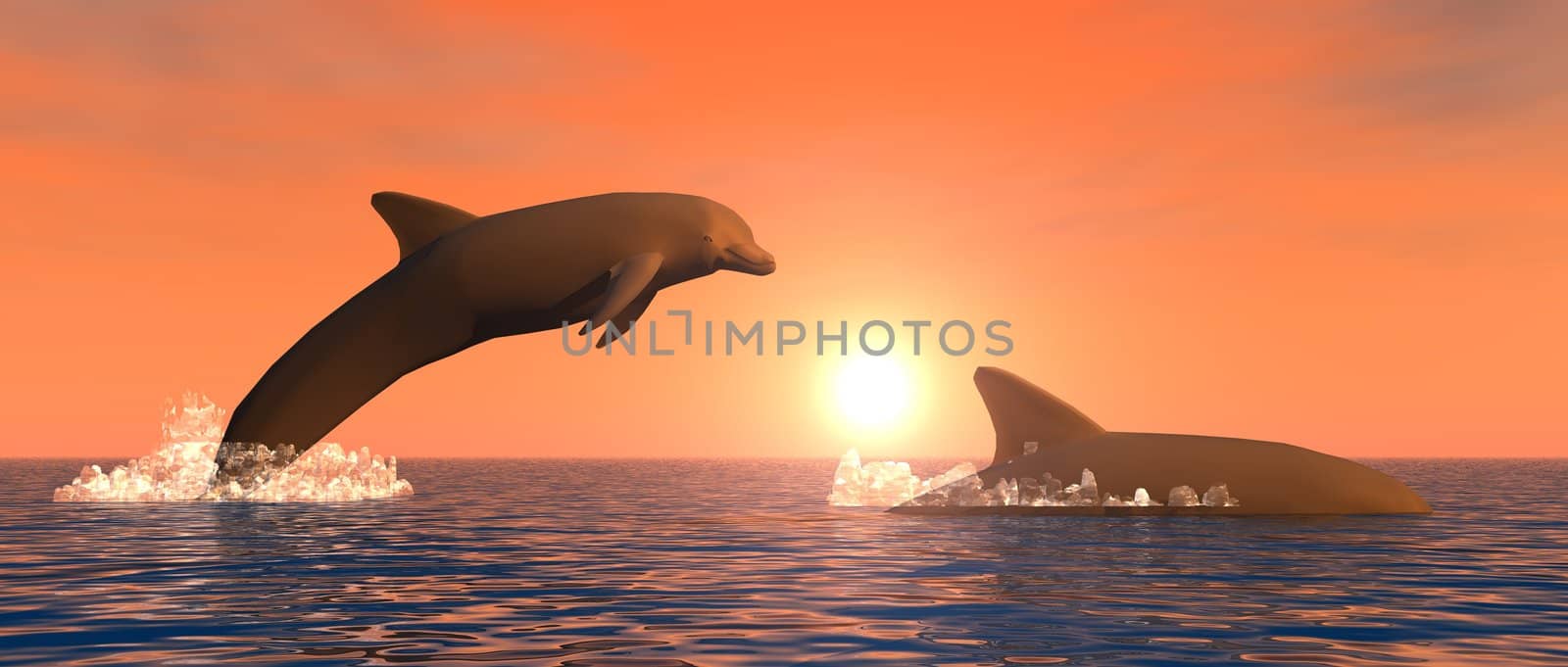 illustration showing some dolphins playing at sunset