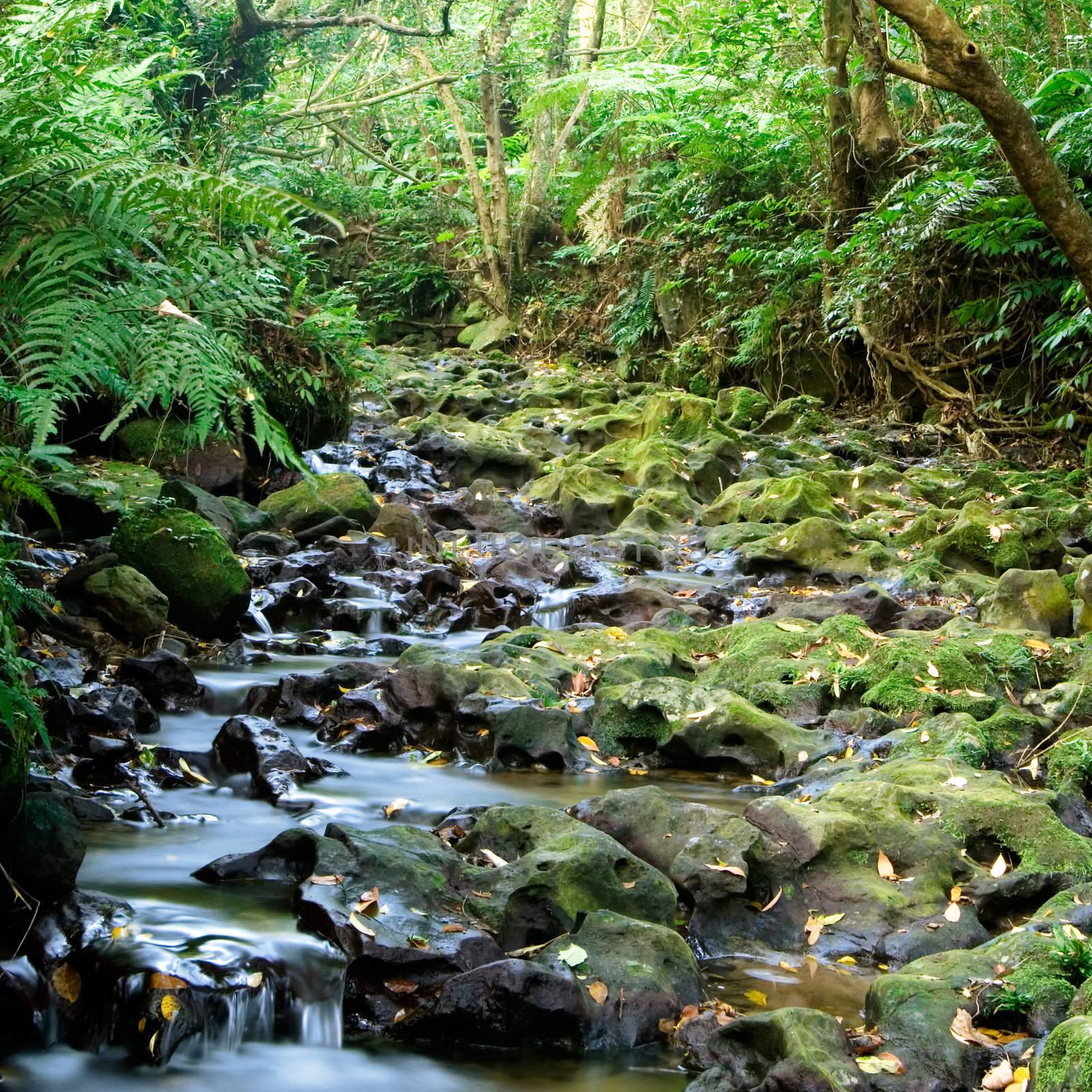 topography of pot hole with river by elwynn