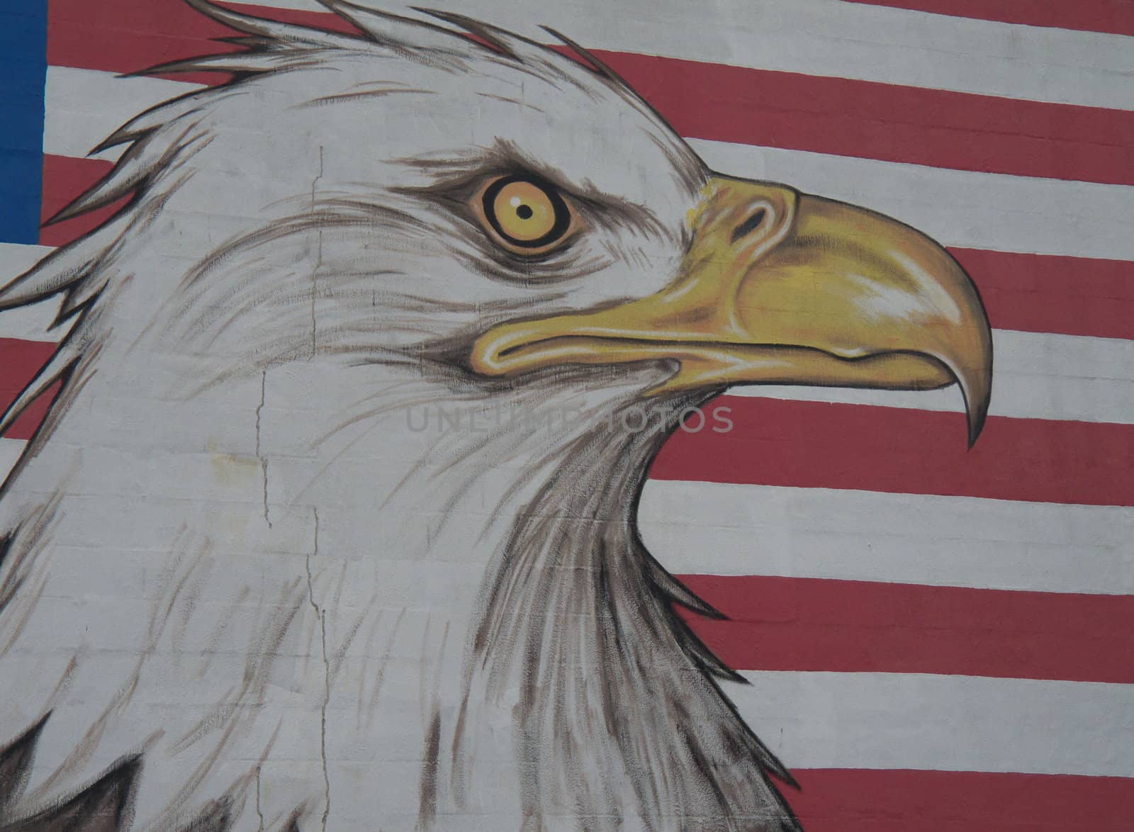graffiti of an eagle with the american flag in the background