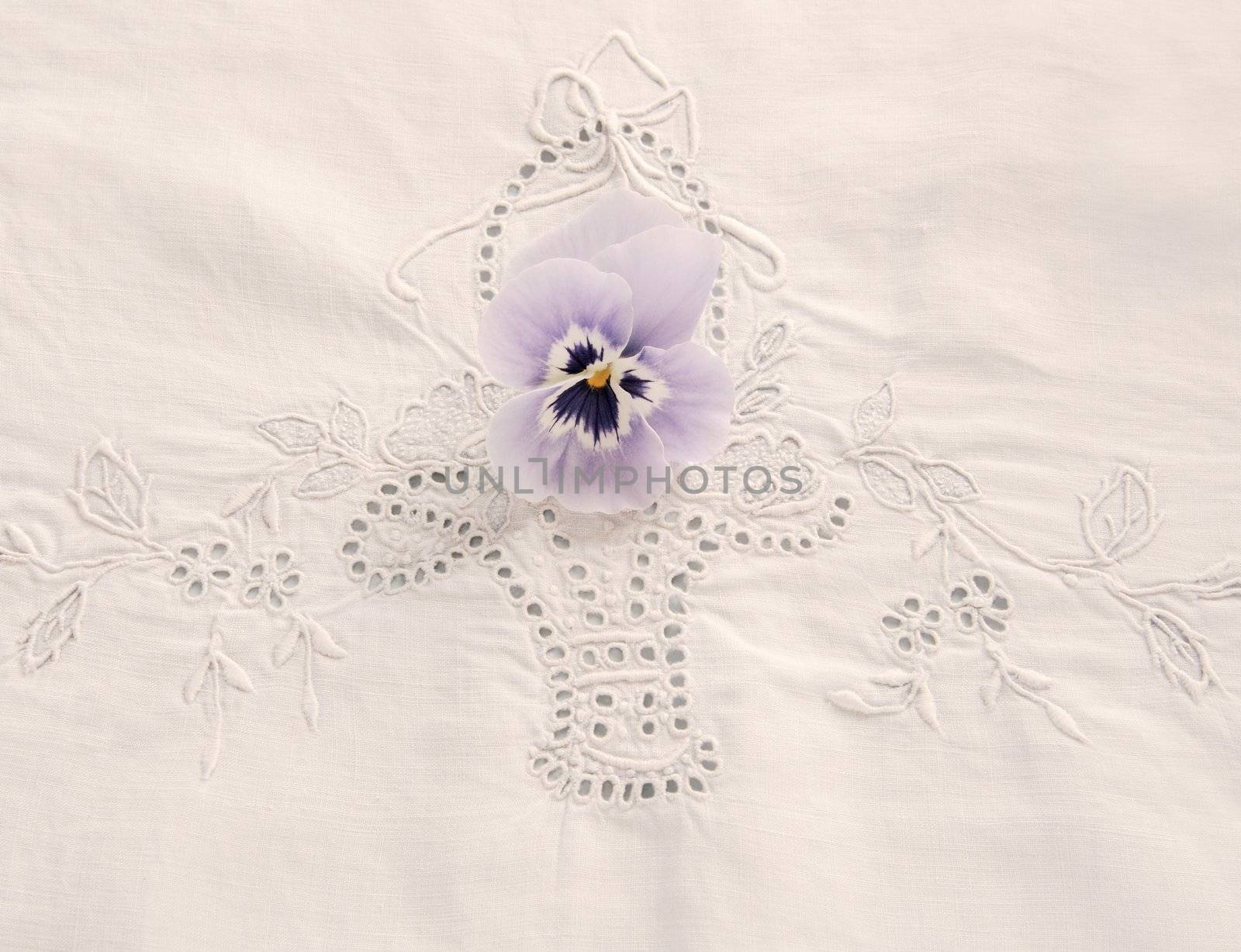 fresh pansy on a decorative cutwork tablecloth
