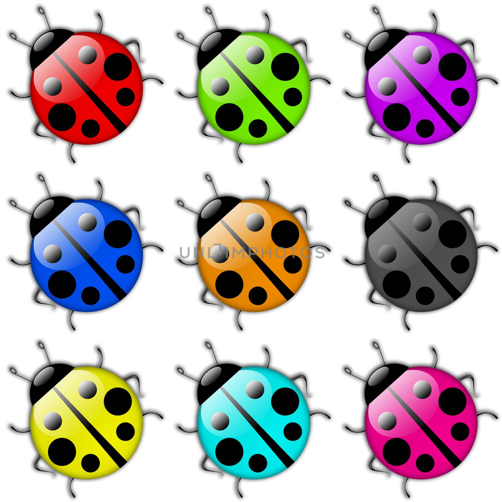 series of multicolor cartoon style icon ladybug
