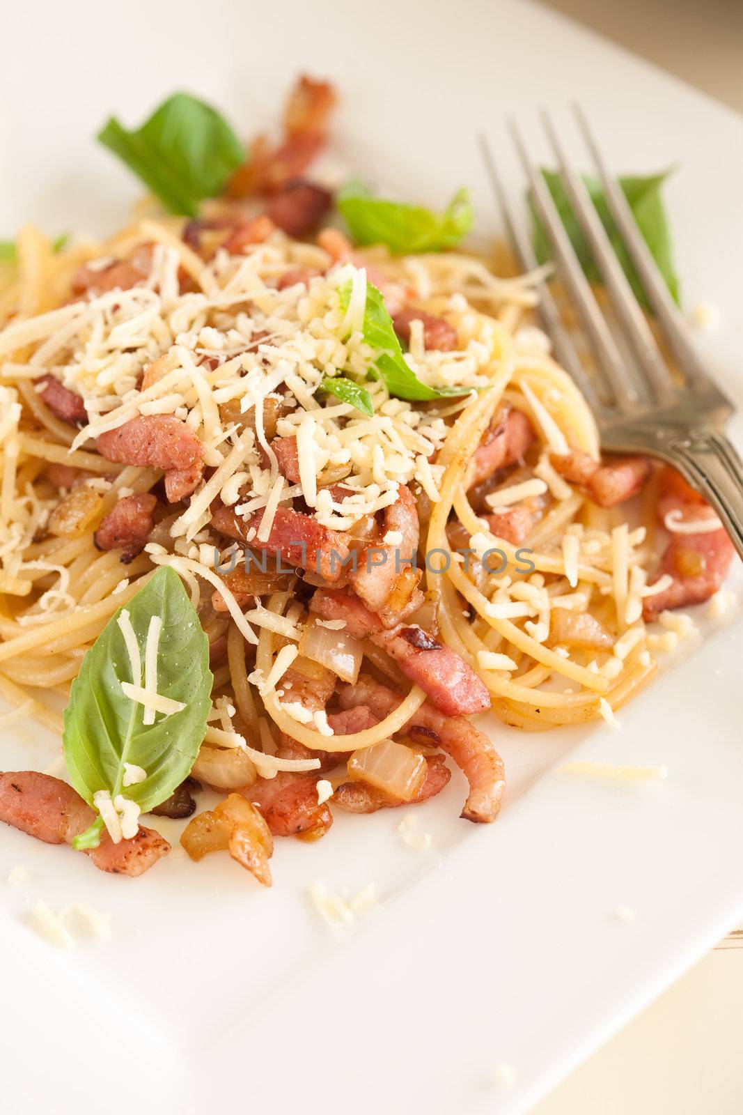 Fresh spaghetti with garlic, bacon, parmezan and basil