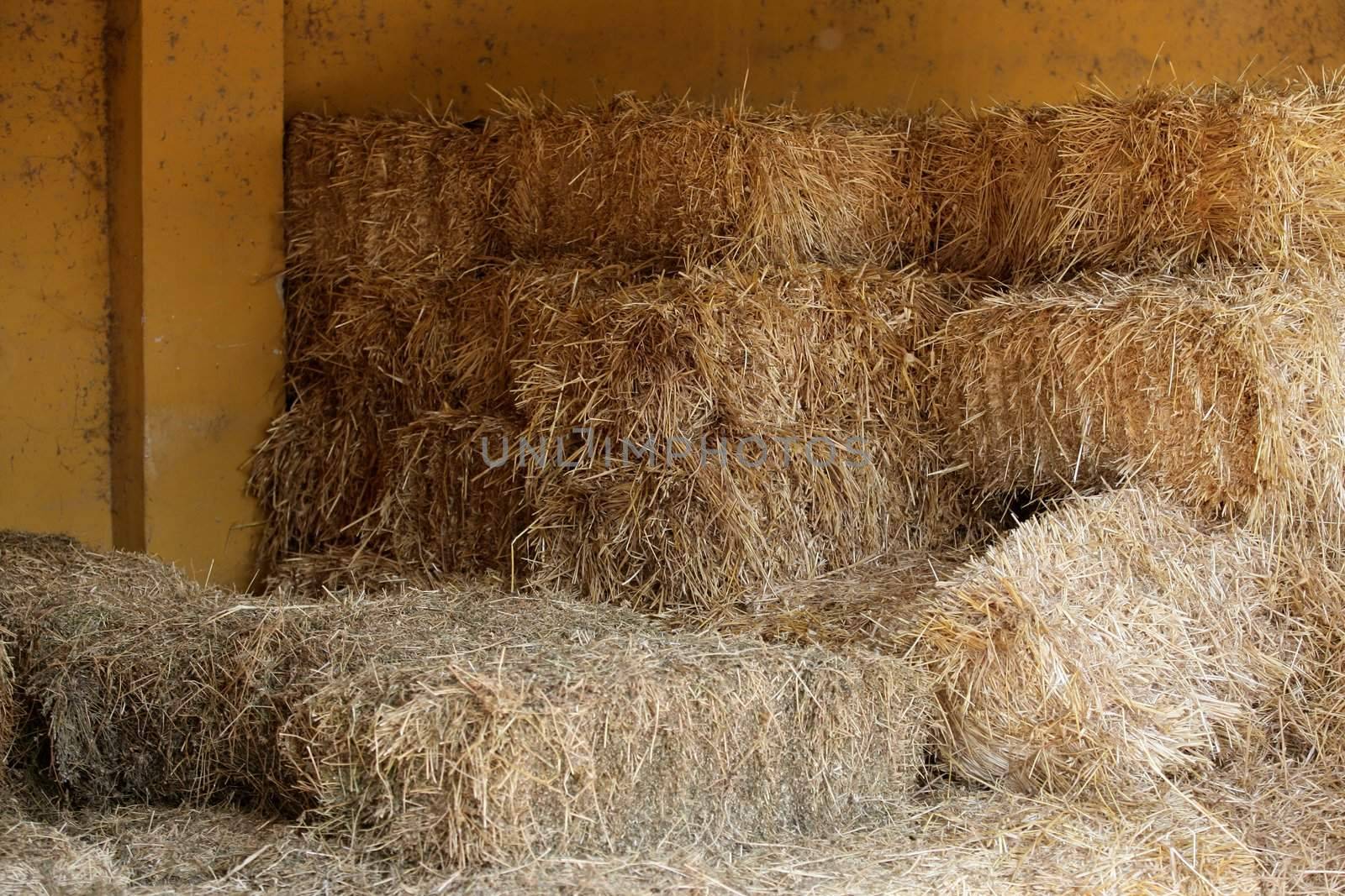 Golden straw barn stacked on the farm