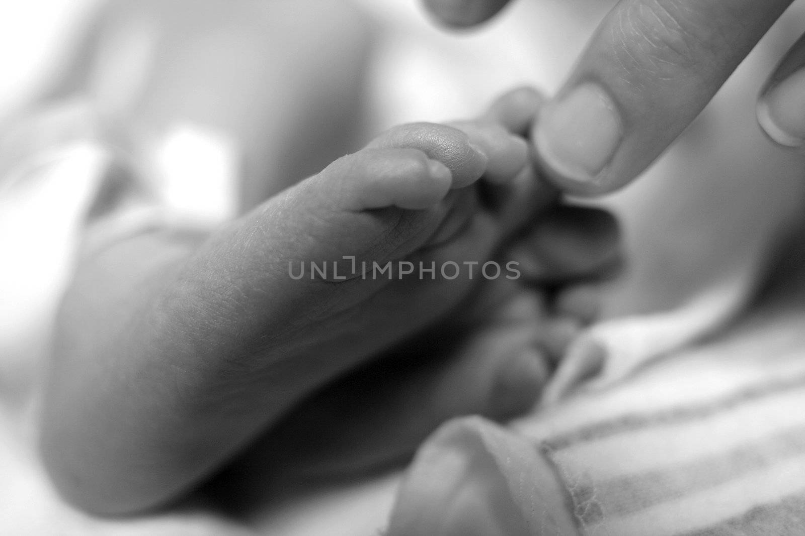 A soft focus photo of a person touching baby toes