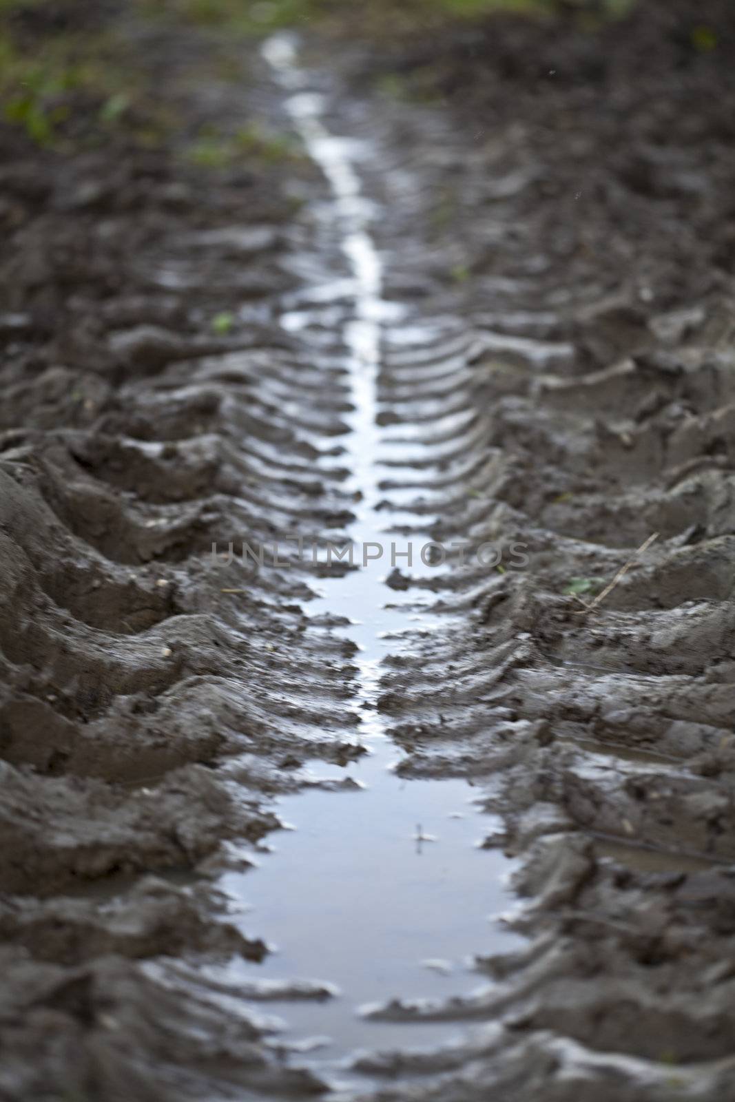 water in a puddle reflecting the sky