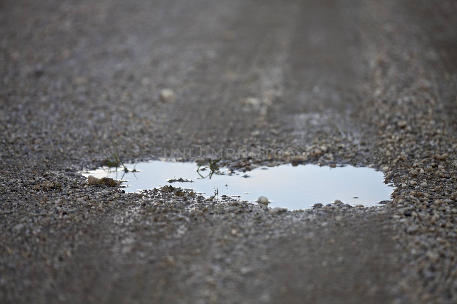 water in a puddle reflecting the sky