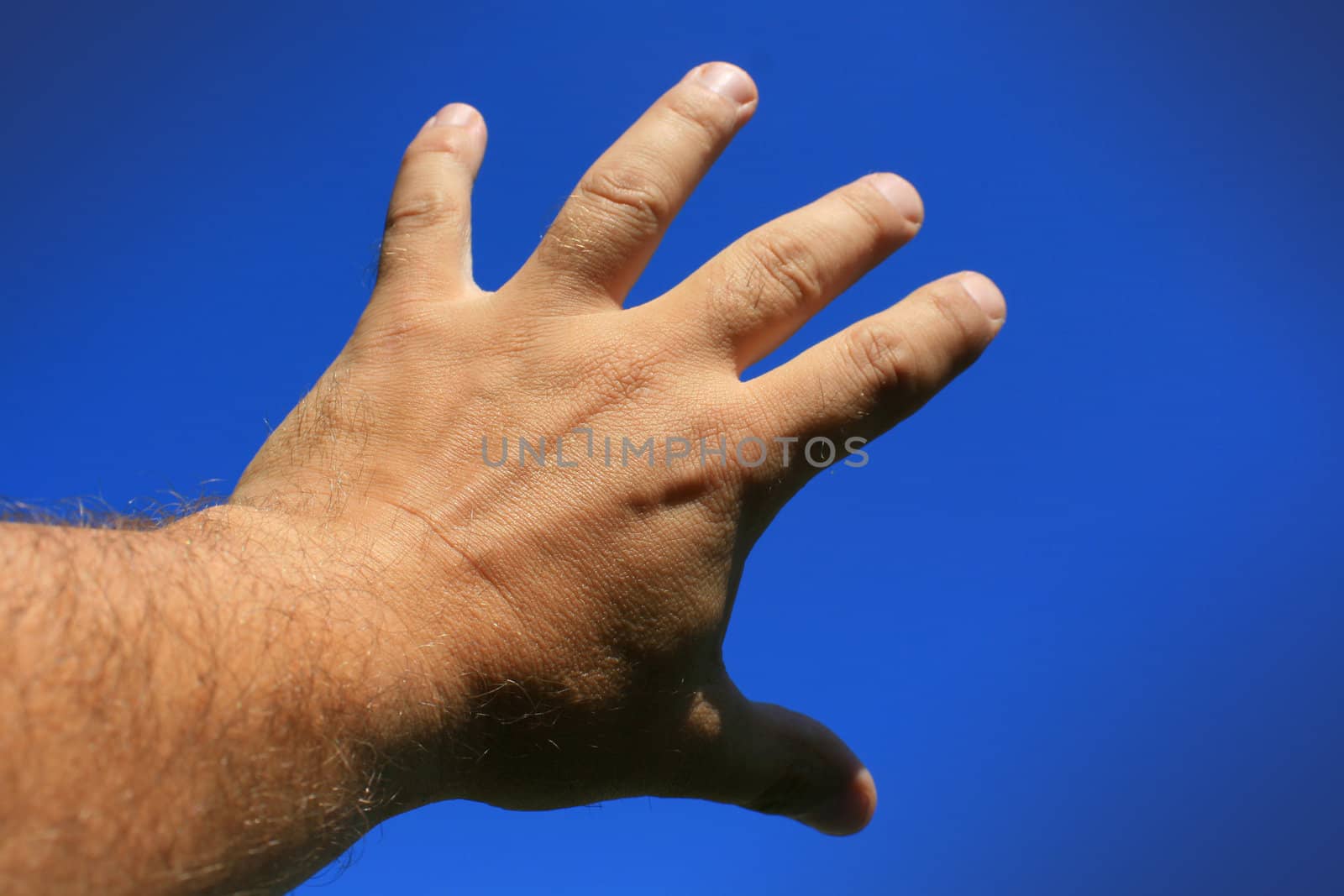 A male hand and forearm poiting skywards with fingers sread out and reaching. Set against a bright blue sky background.