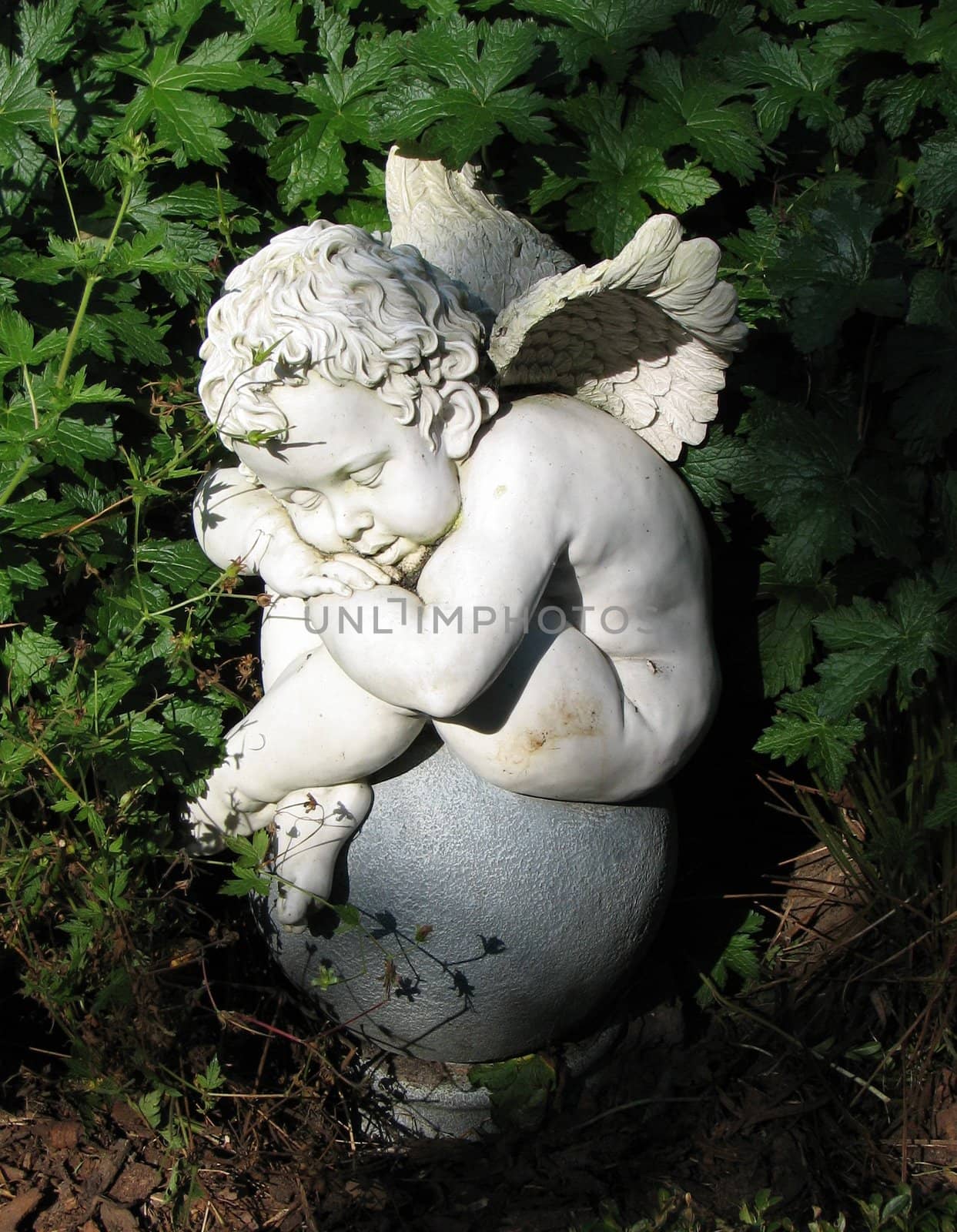 sleeping little stone angel in the garden