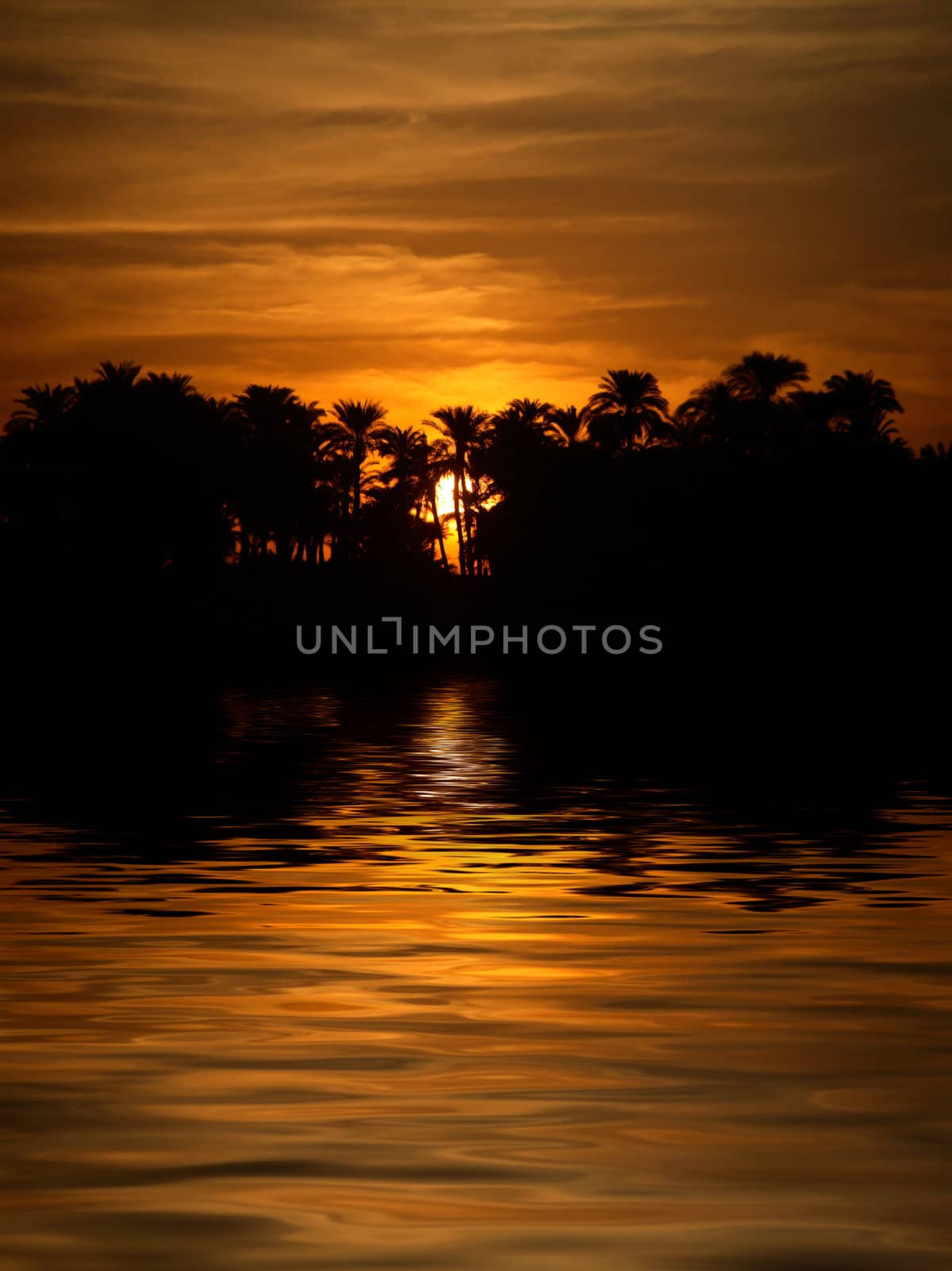 A late evening in Egypt, with the Sun setting behind the trees.

(with water reflection)